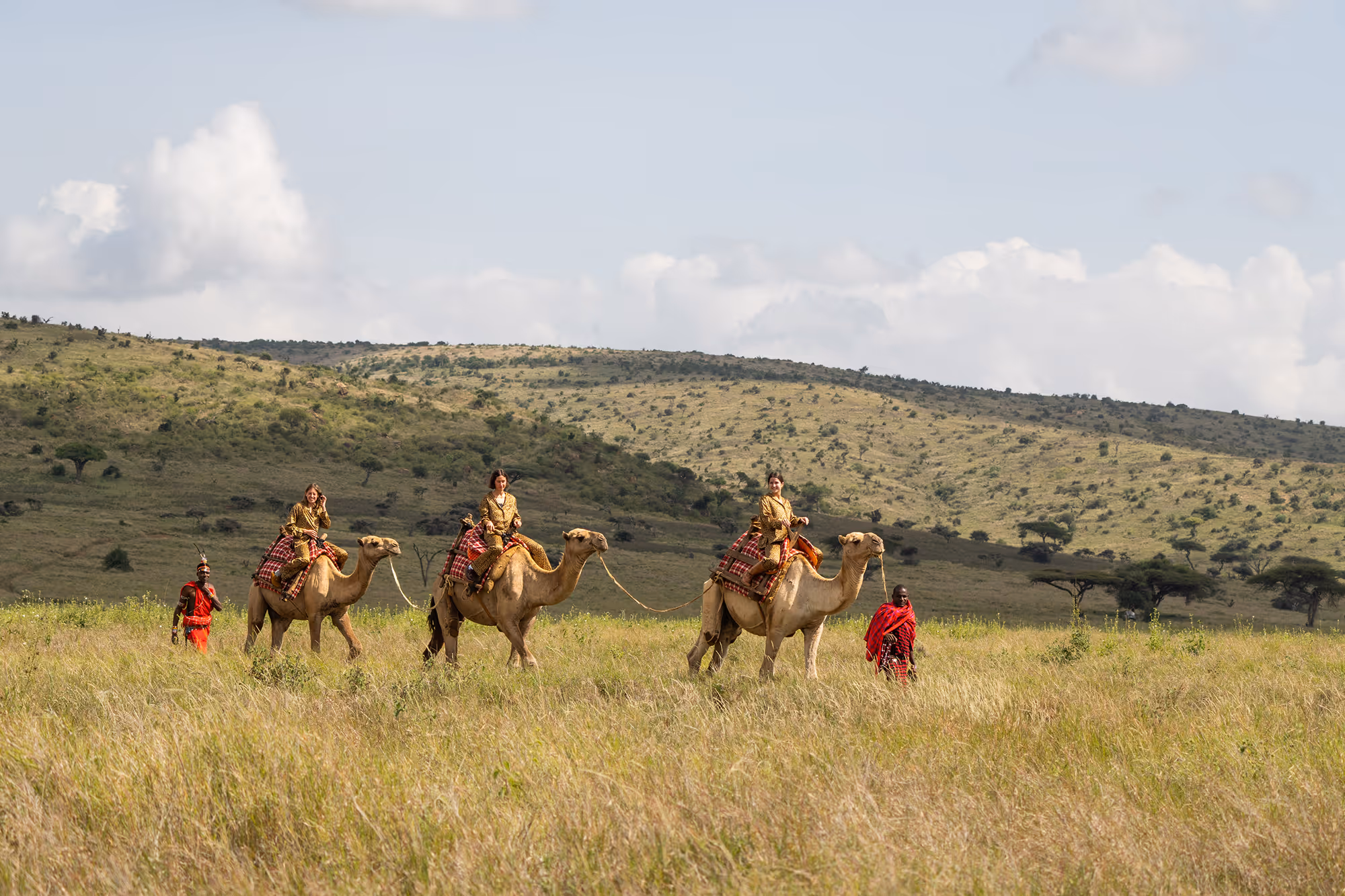 A group of people riding on the backs of camels.