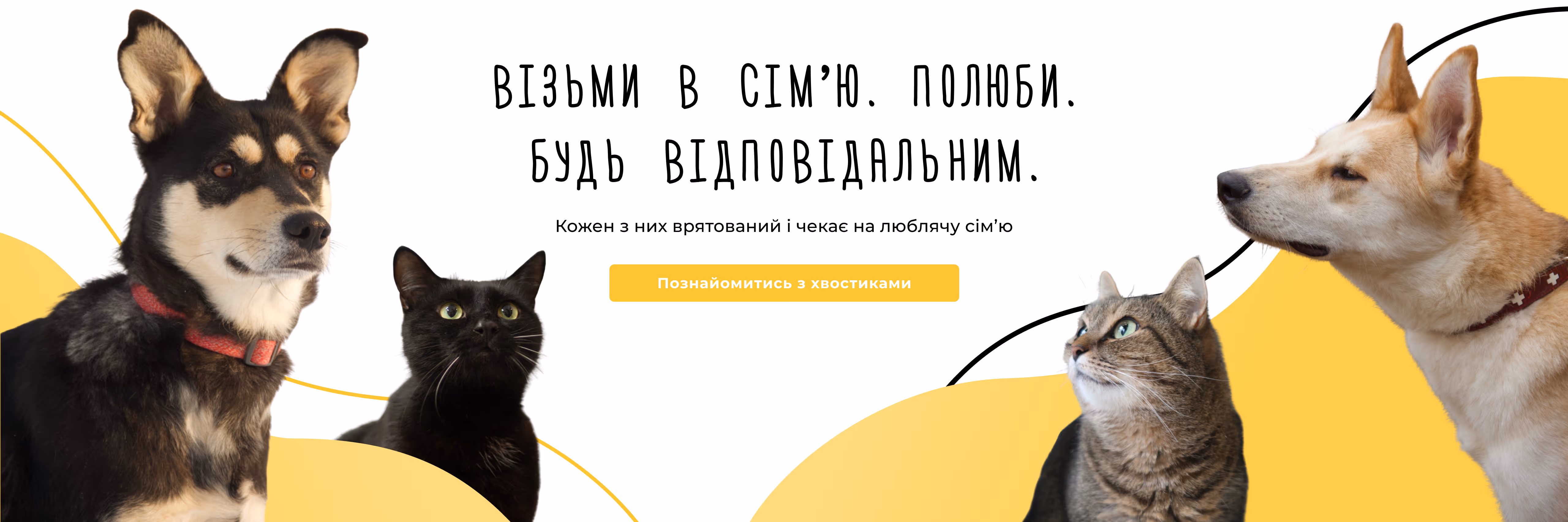main page baner