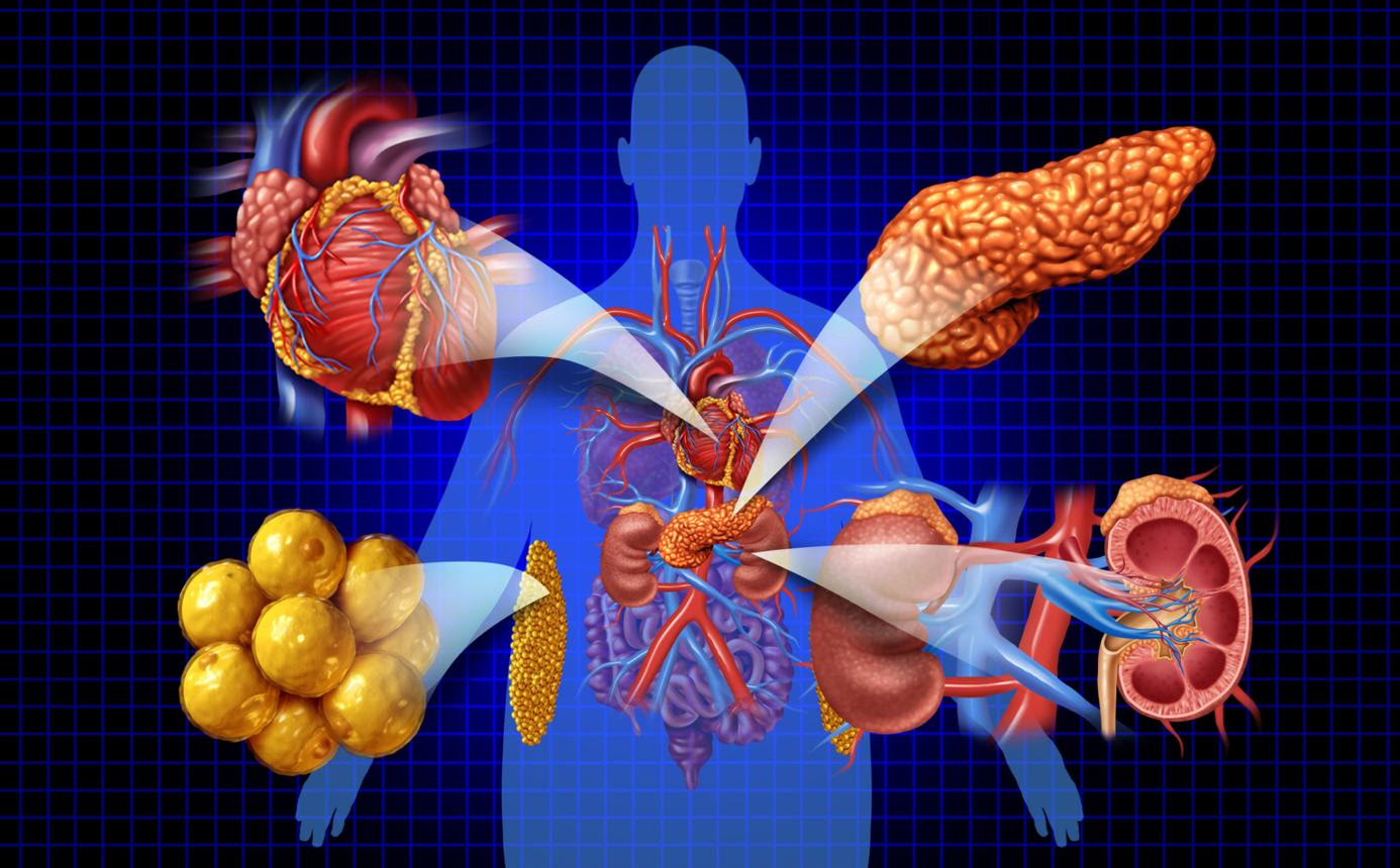 At the Dr. Zacharias Kounnis Cardiology Center, we have a special interest in Cardio-Diabetology and Metabolic Cardiology—a rapidly evolving field that combines cardiovascular medicine with the prevention, early detection, and comprehensive management of d
