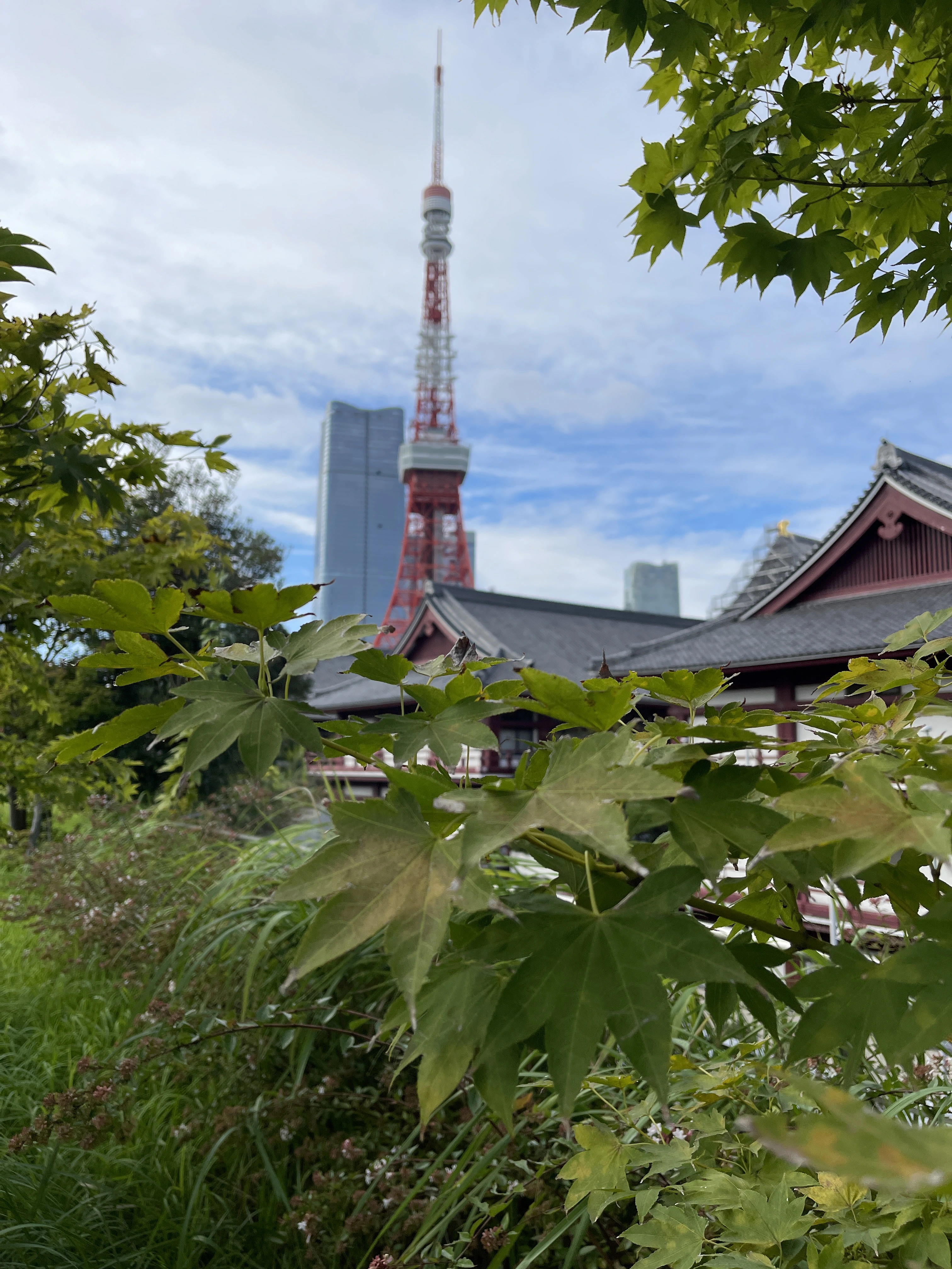 herfstkleuren bij een Japanse tempel tijdens een rondreis door Japan