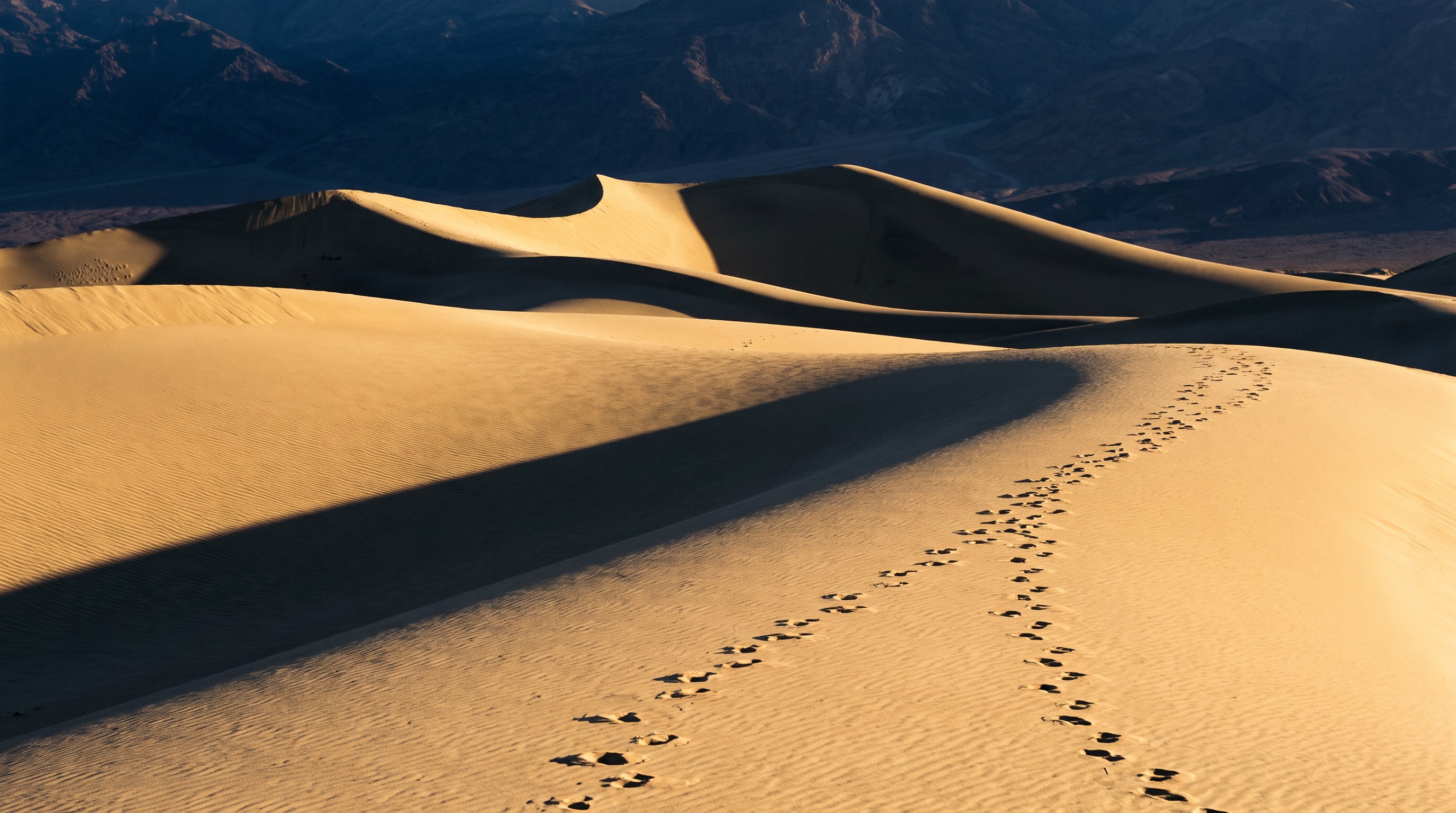 Sand dunes in Death Valley at sunrise