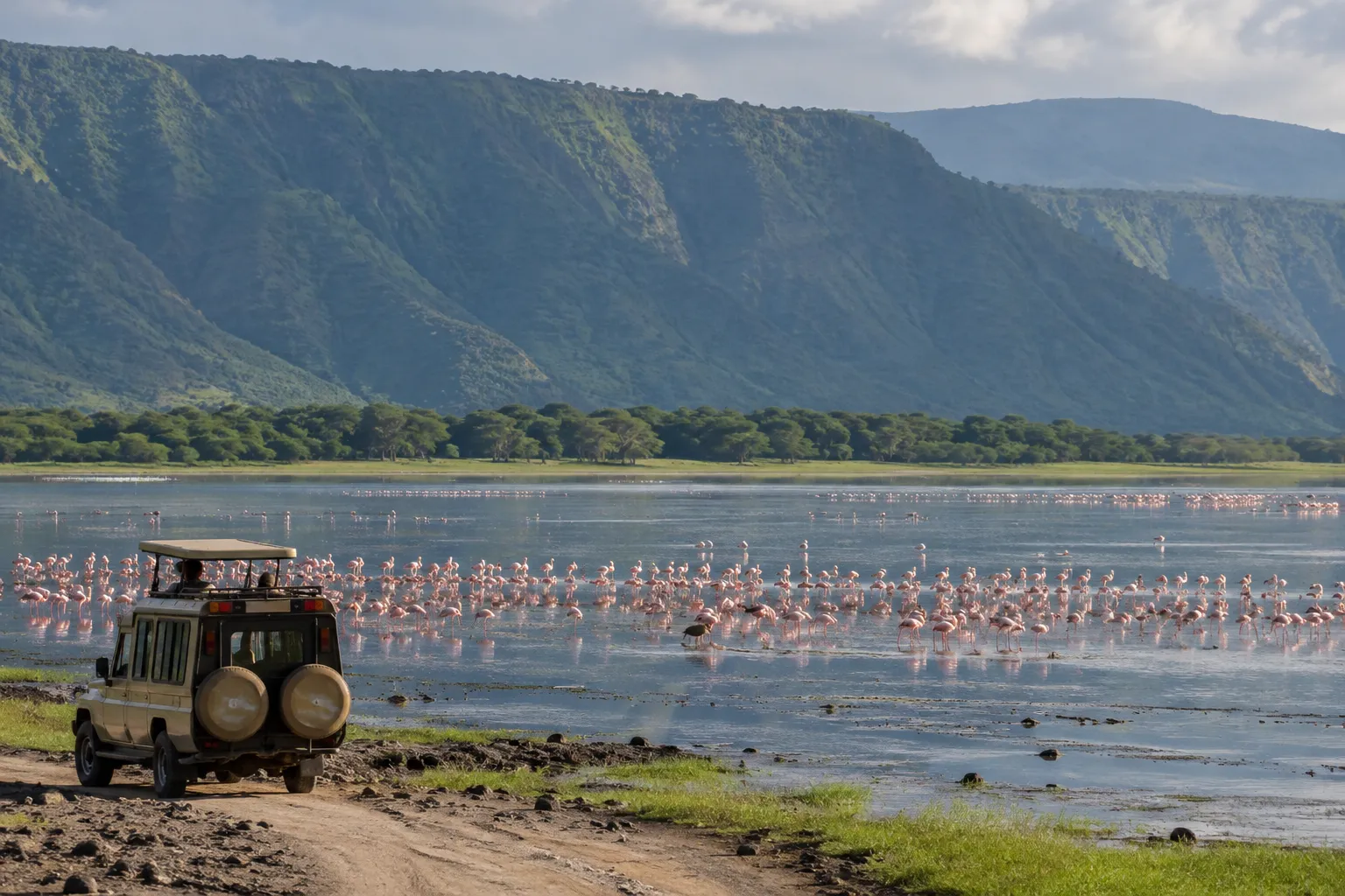 Flamingo's op Lake Manyara onder de Riftvallei