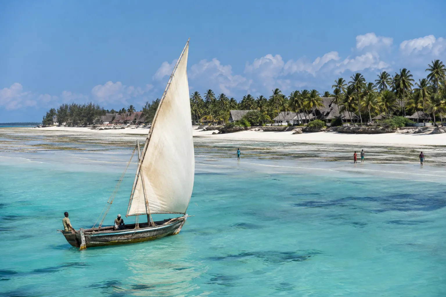 Dhow met wit zeil voor het strand van Zanzibar
