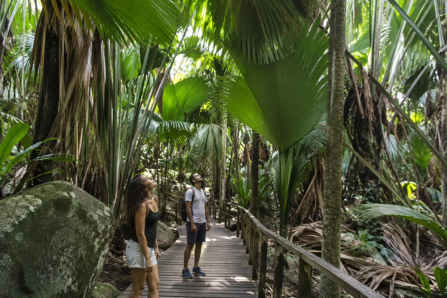 Wandelpad door het palmenbos van de Vallée de Mai op Praslin