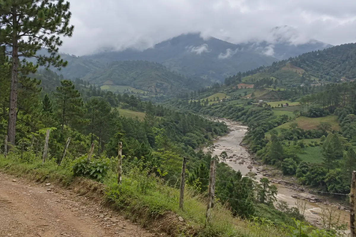 Groen bergdal met een rivier bij Jarabacoa