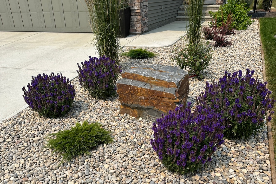 Front yard white river rock garden with purple flowering plants and a granite boulder focal point by a landscape design contractor in Calgary