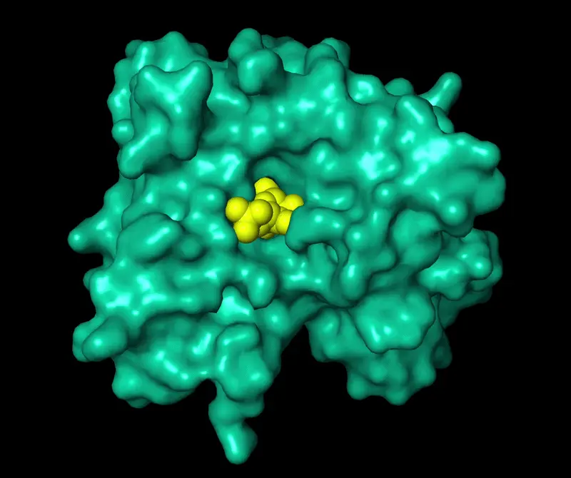 3D ligase enzyme structure generated by Allozymes using computational bioinformatics for oligonucleotide manufacturing applications