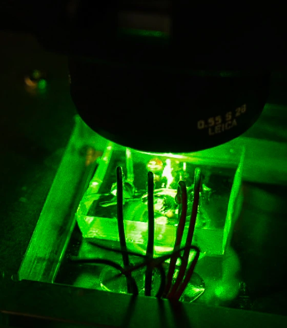 Ultra-high-throughput microfluidics screening using the ZymeLeap™ platform at Allozymes