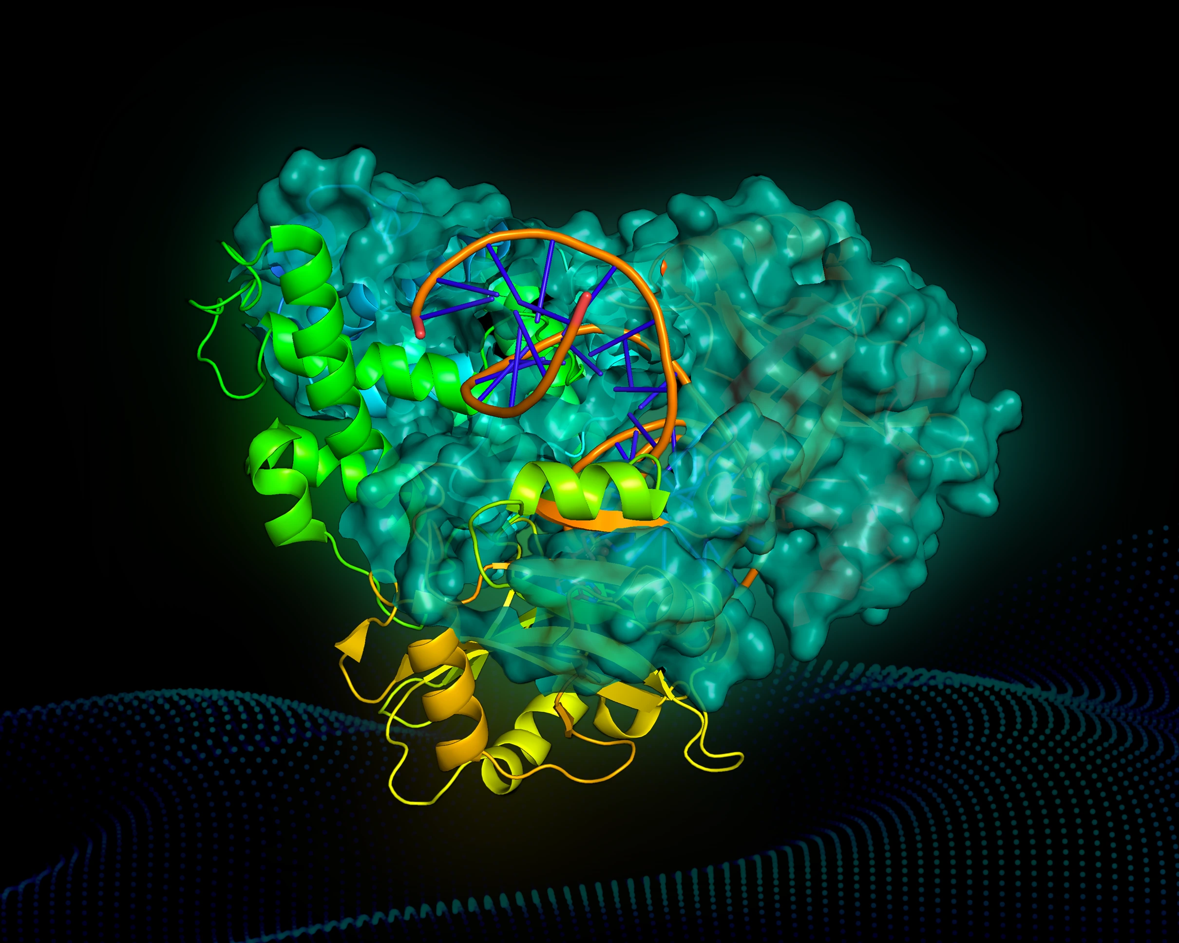 Engineered DNA ligase structure generated using computational bioinformatics and AI-guided enzyme design at Allozymes