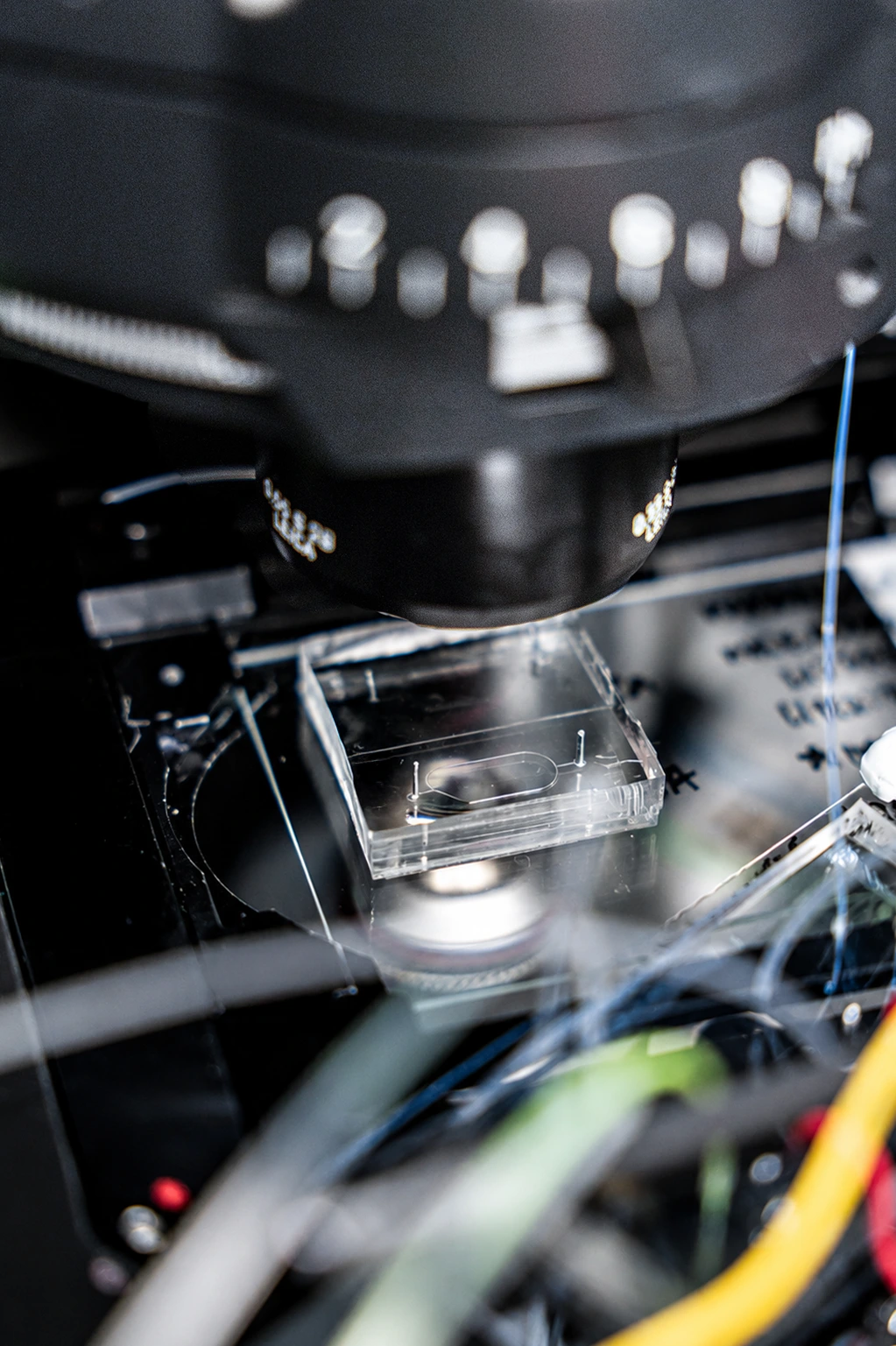 Ultra-high-throughput microfluidics screening using the ZymeLeap™ platform at Allozymes