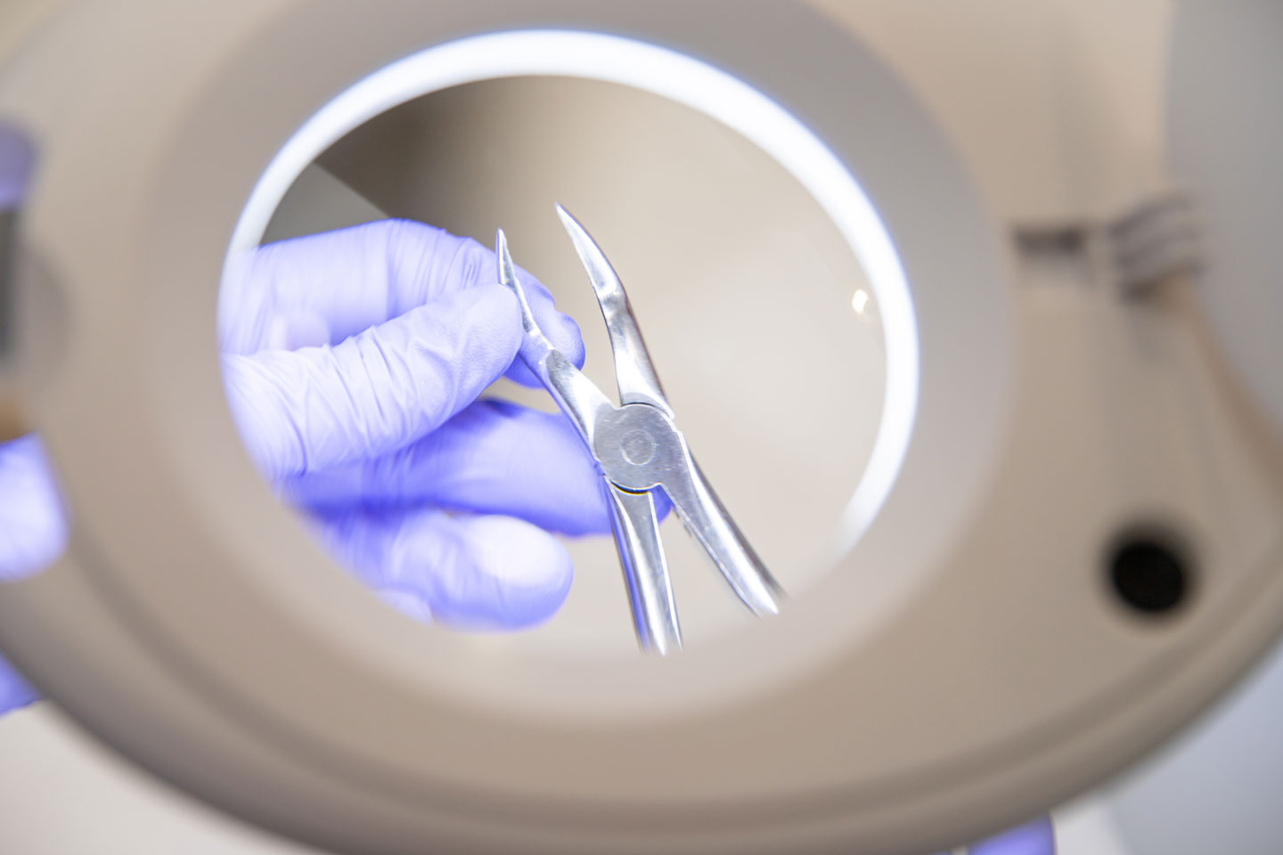 Hand mit blauen Handschuhen hält eine gebogene Metallzange vor einer beleuchteten Lupe.