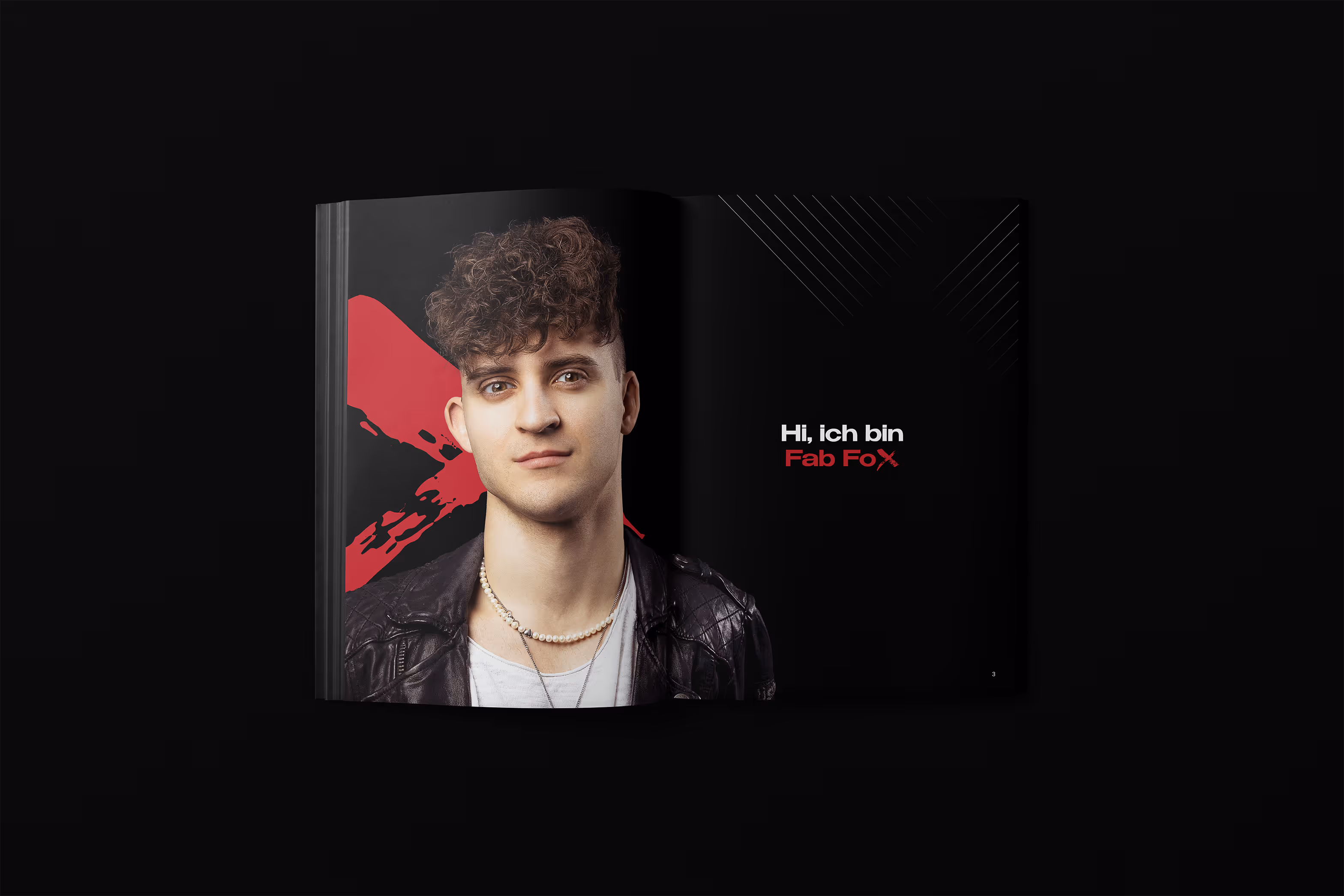 Keyvisual & Werbemittel für Magier Fab Fox: Kreatives Artwork, österreichweite Außenwerbung, Gestaltung von Social Media Ads & Printwerbung für die „Fabulous“ Arenatour.
