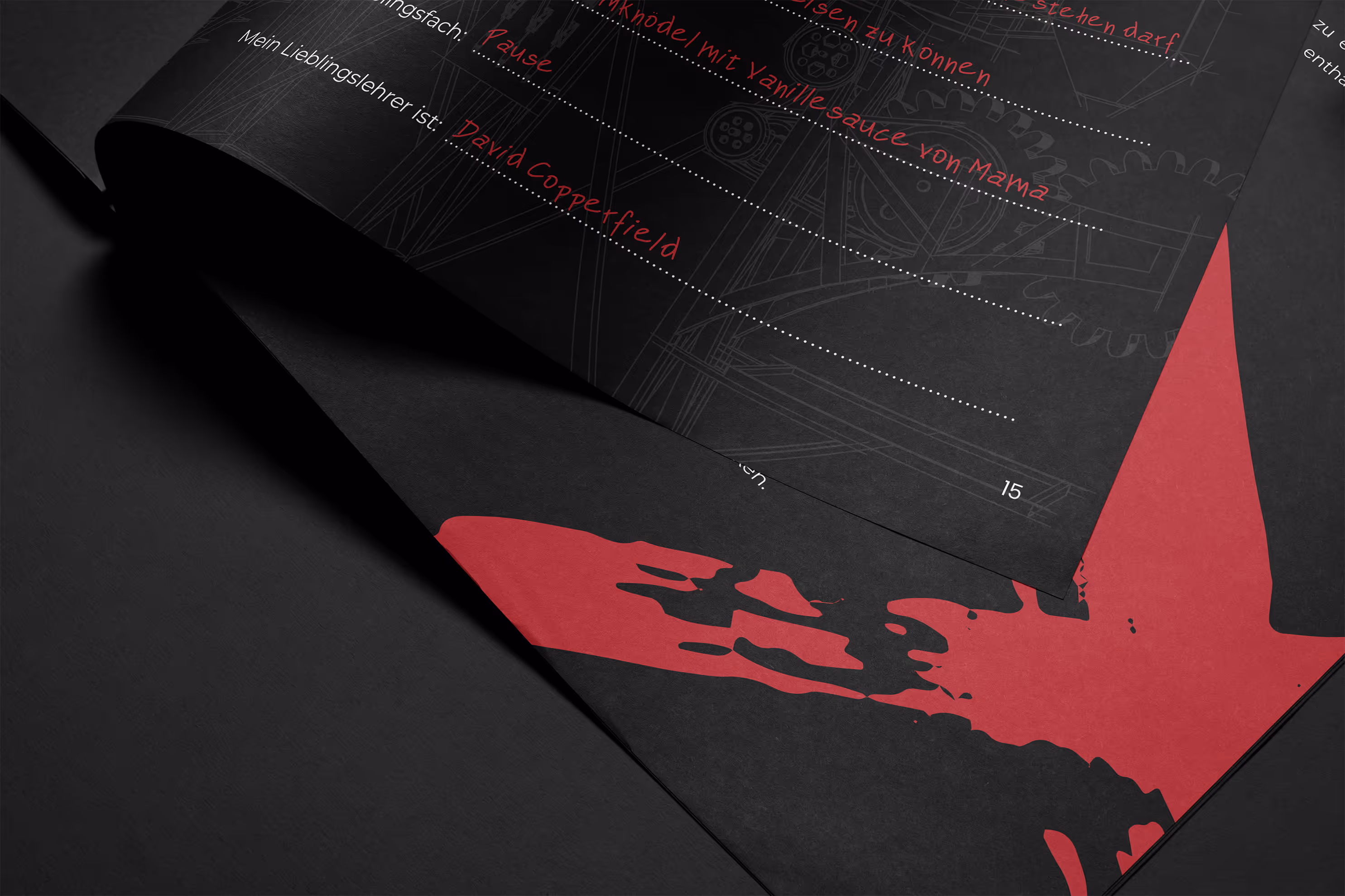 Keyvisual & Werbemittel für Magier Fab Fox: Kreatives Artwork, österreichweite Außenwerbung, Gestaltung von Social Media Ads & Printwerbung für die „Fabulous“ Arenatour.