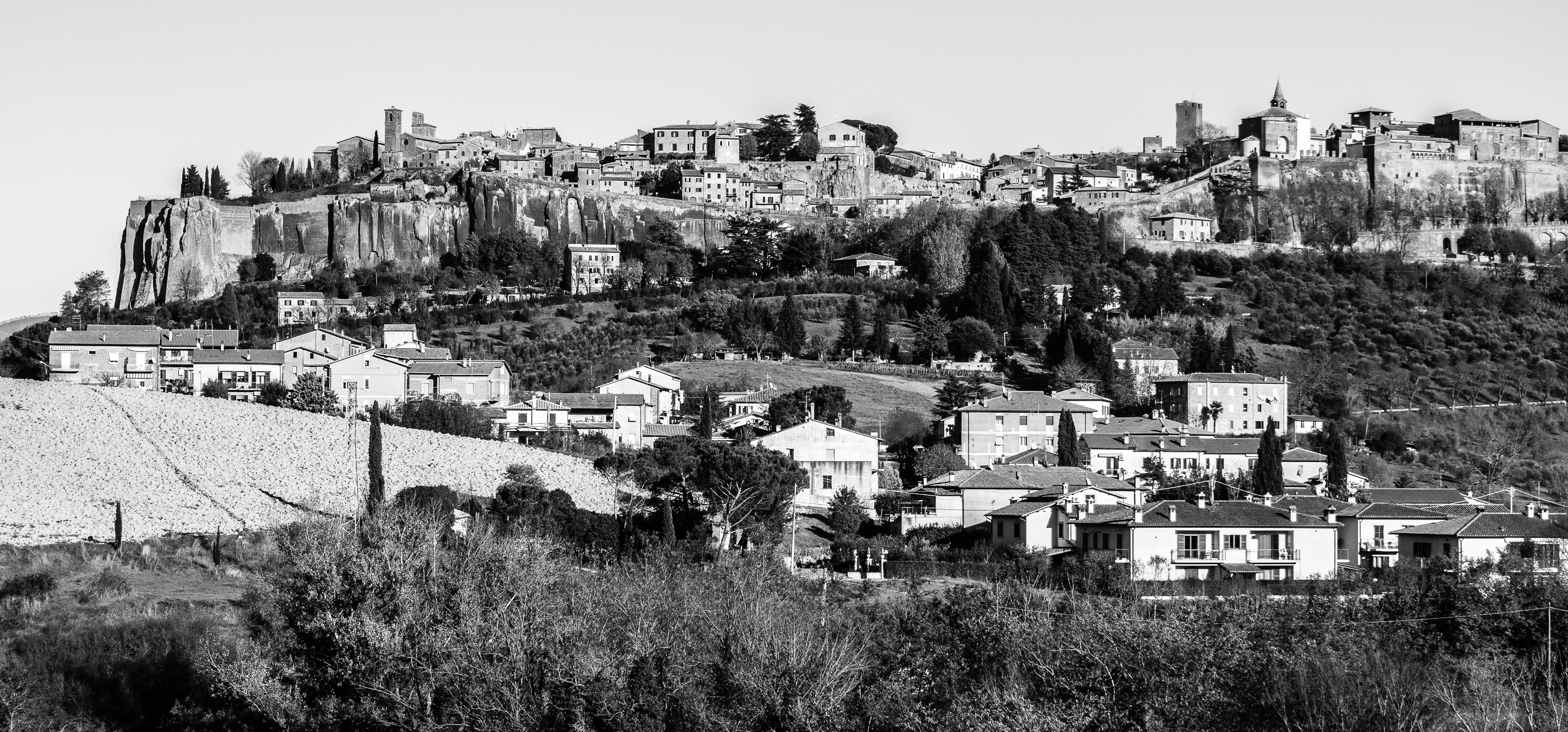 Nassau Tailors jacket fabric detail