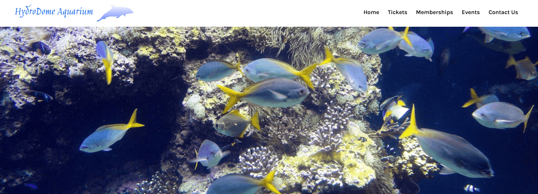 The hero image of a construction website showing a modern two-story house with lit windows, triple garage, and well-kept front yard at dusk.