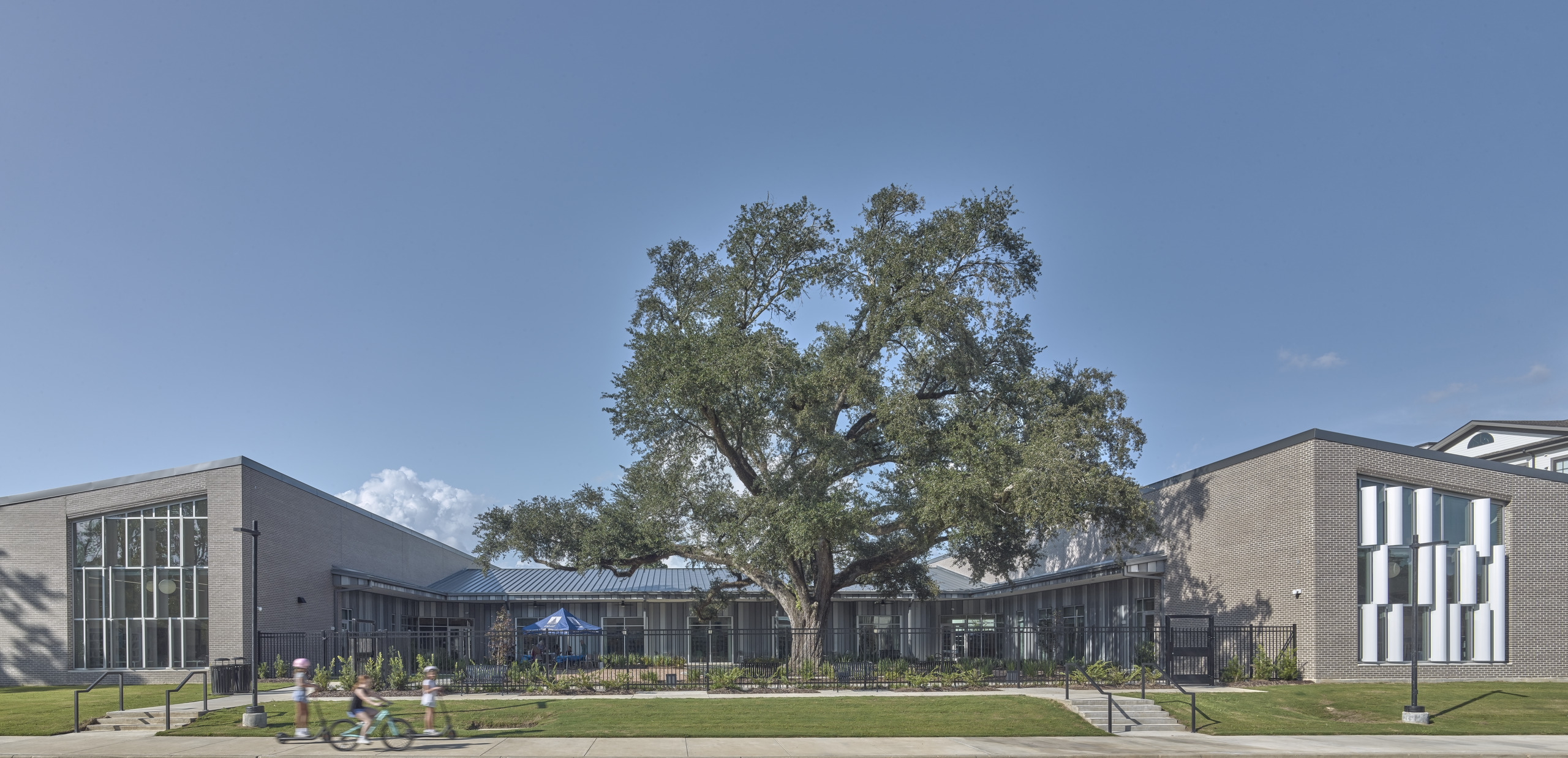 A 100-year-old heritage oak tree anchors the central courtyard of the South Branch Library.