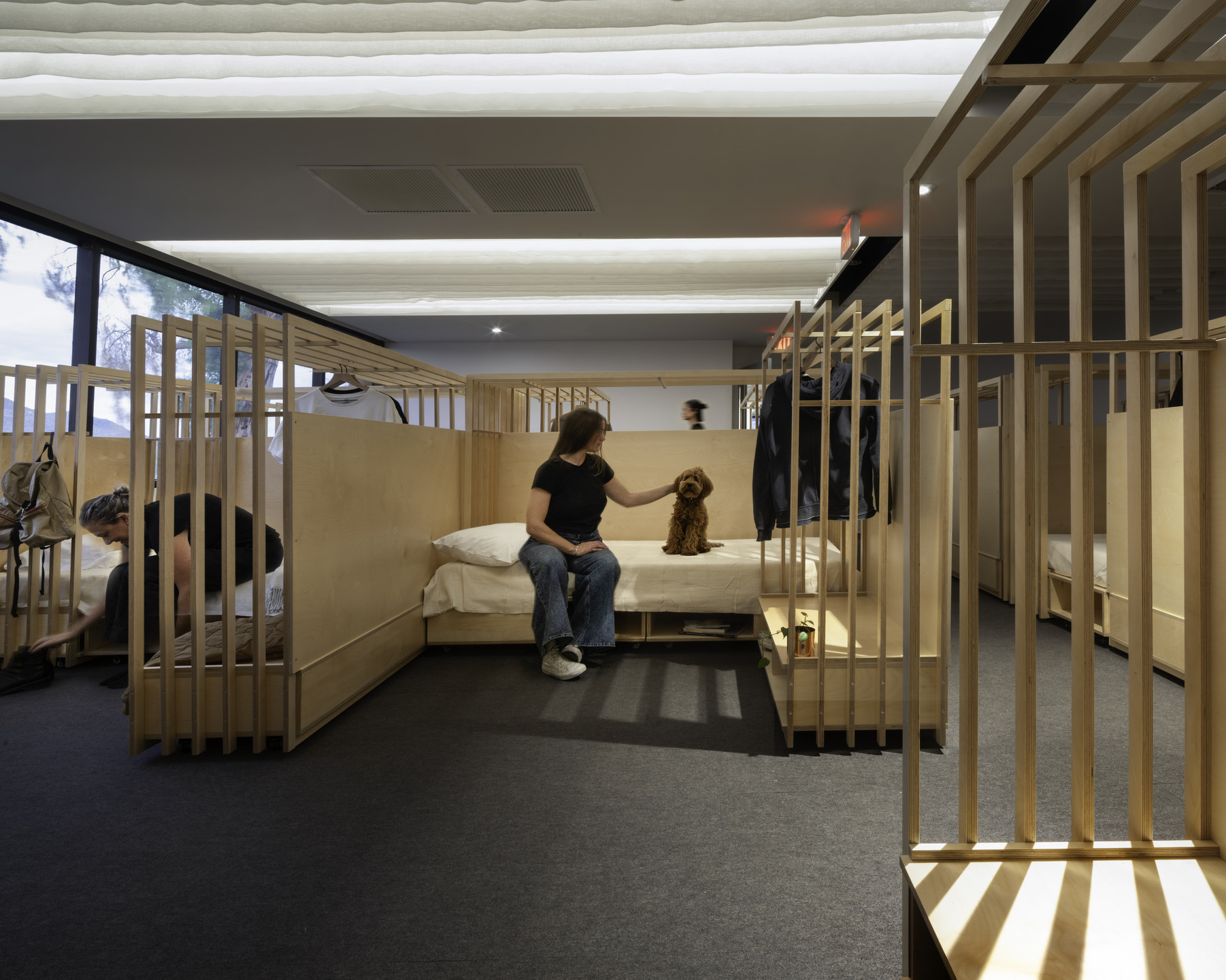 A person and a dog sit on an open-concept bunk with an adjacent bench in a dormitory of matching bed nooks.