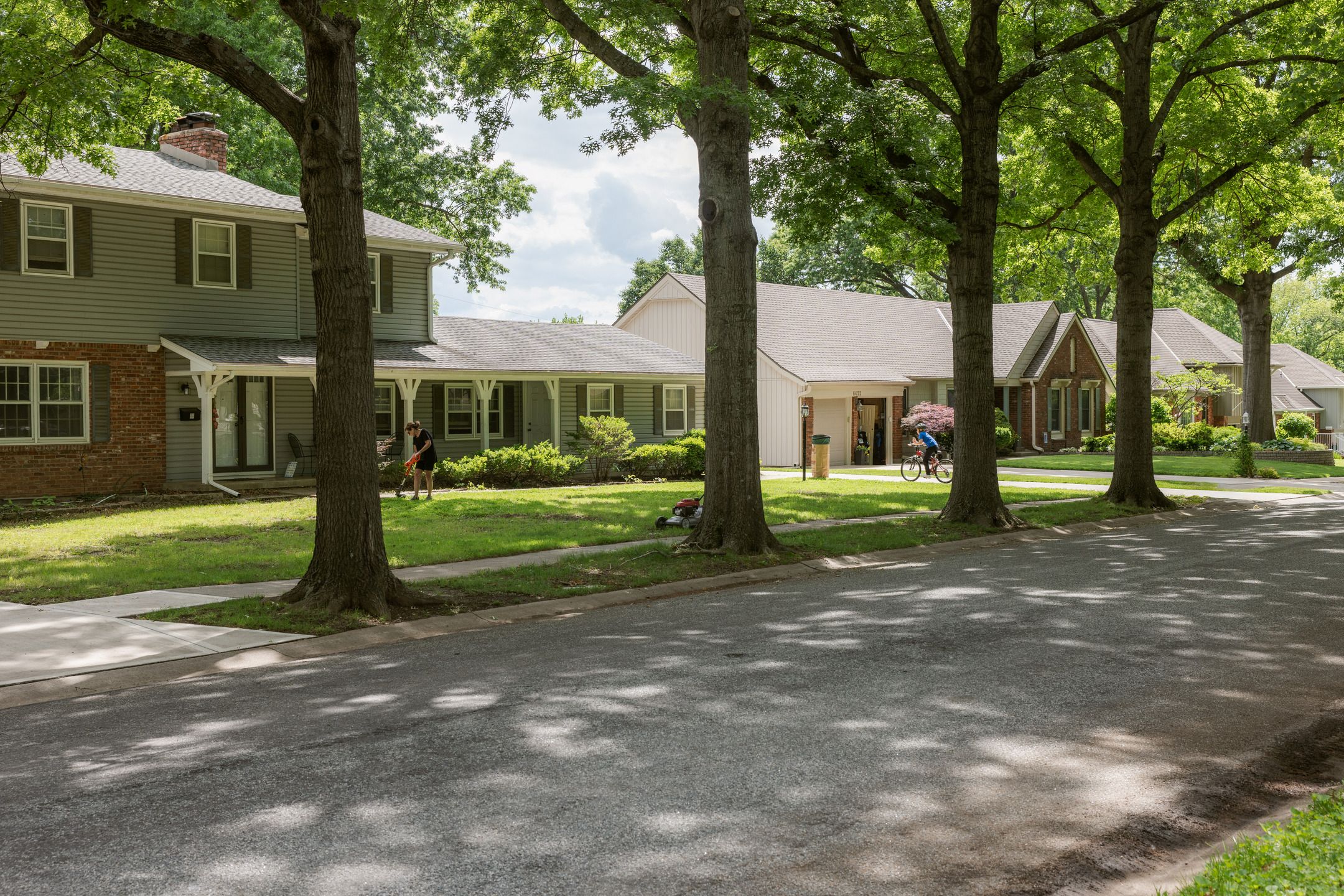 Leafy trees line a residential street.