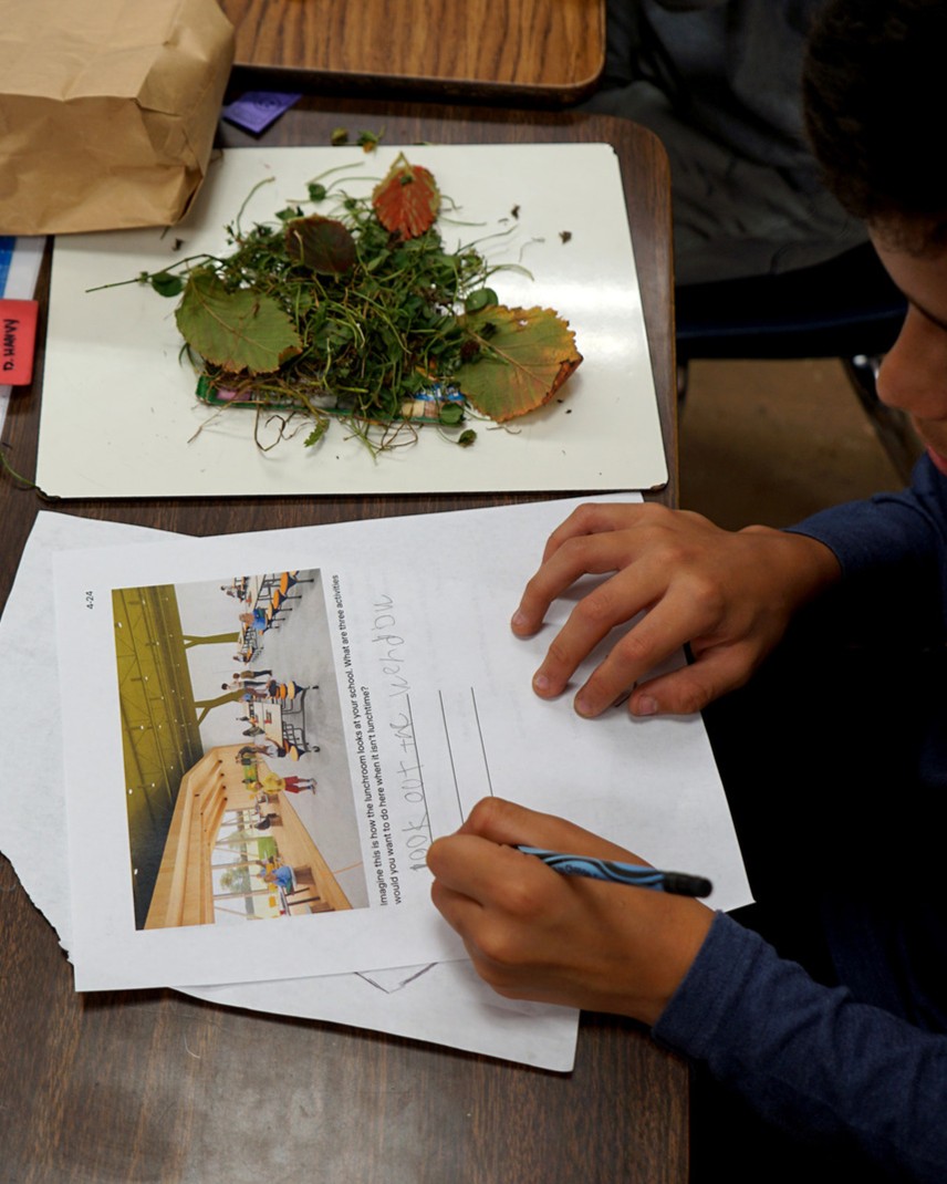 A student responds to a worksheet prompt asking their feelings about a render showing a new school building. Nature artifacts are on the desk.