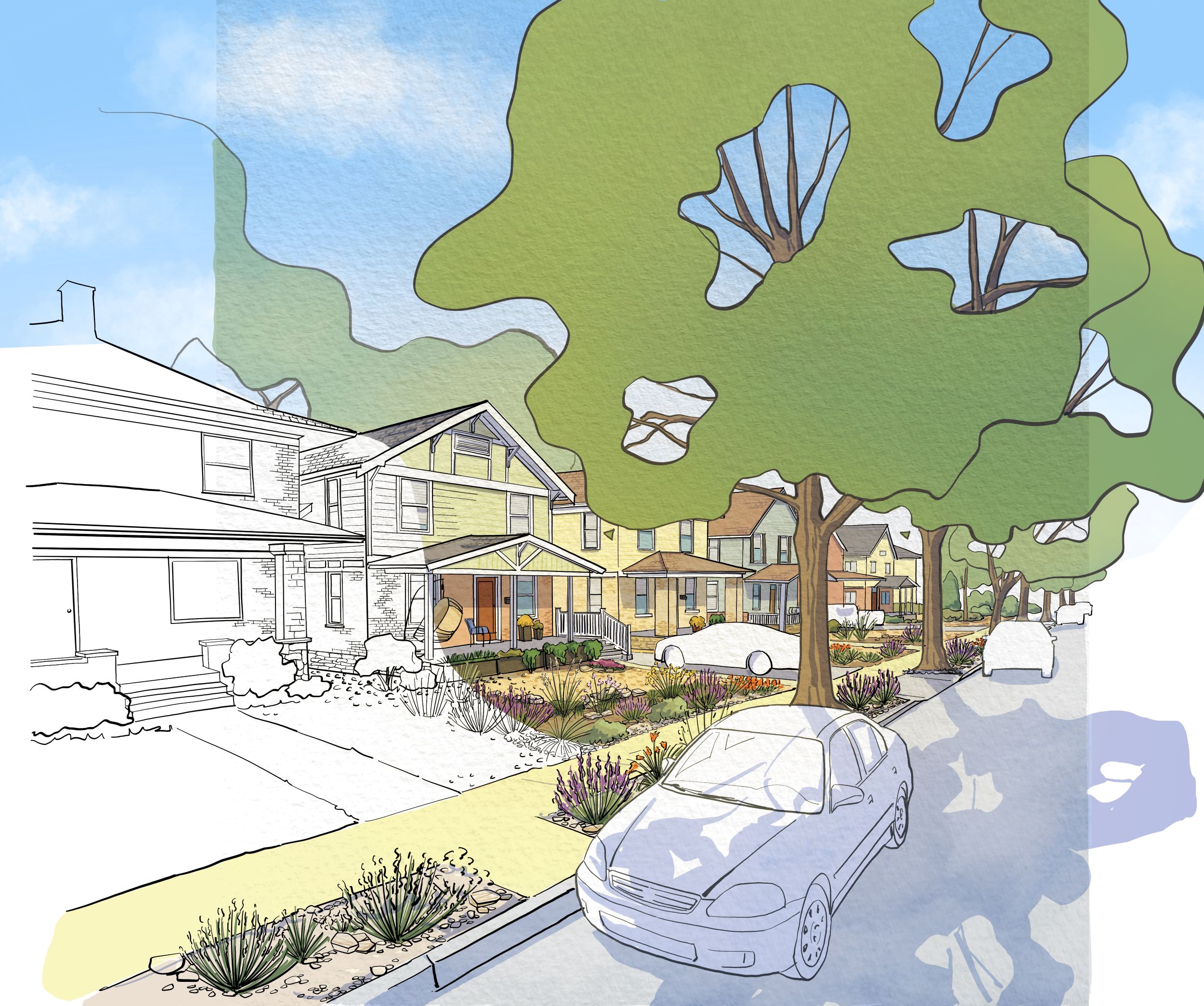 An illustration shows cars parked along a tree-lined street in front of houses.
