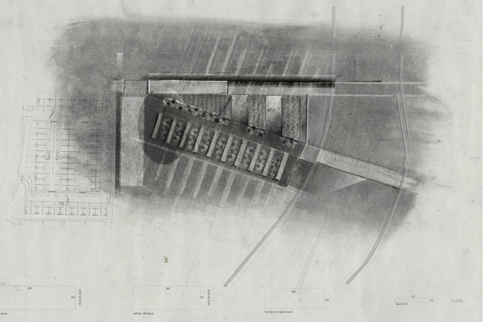 Hybrid-charcoal site studies Joey created for the West Valley Animal Care Center.
