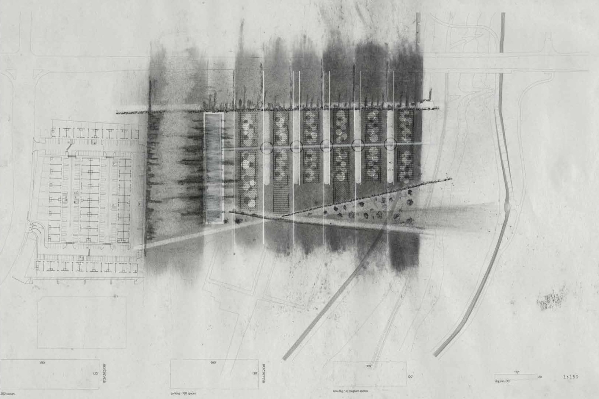 Hybrid-charcoal site studies Joey created for the West Valley Animal Care Center.