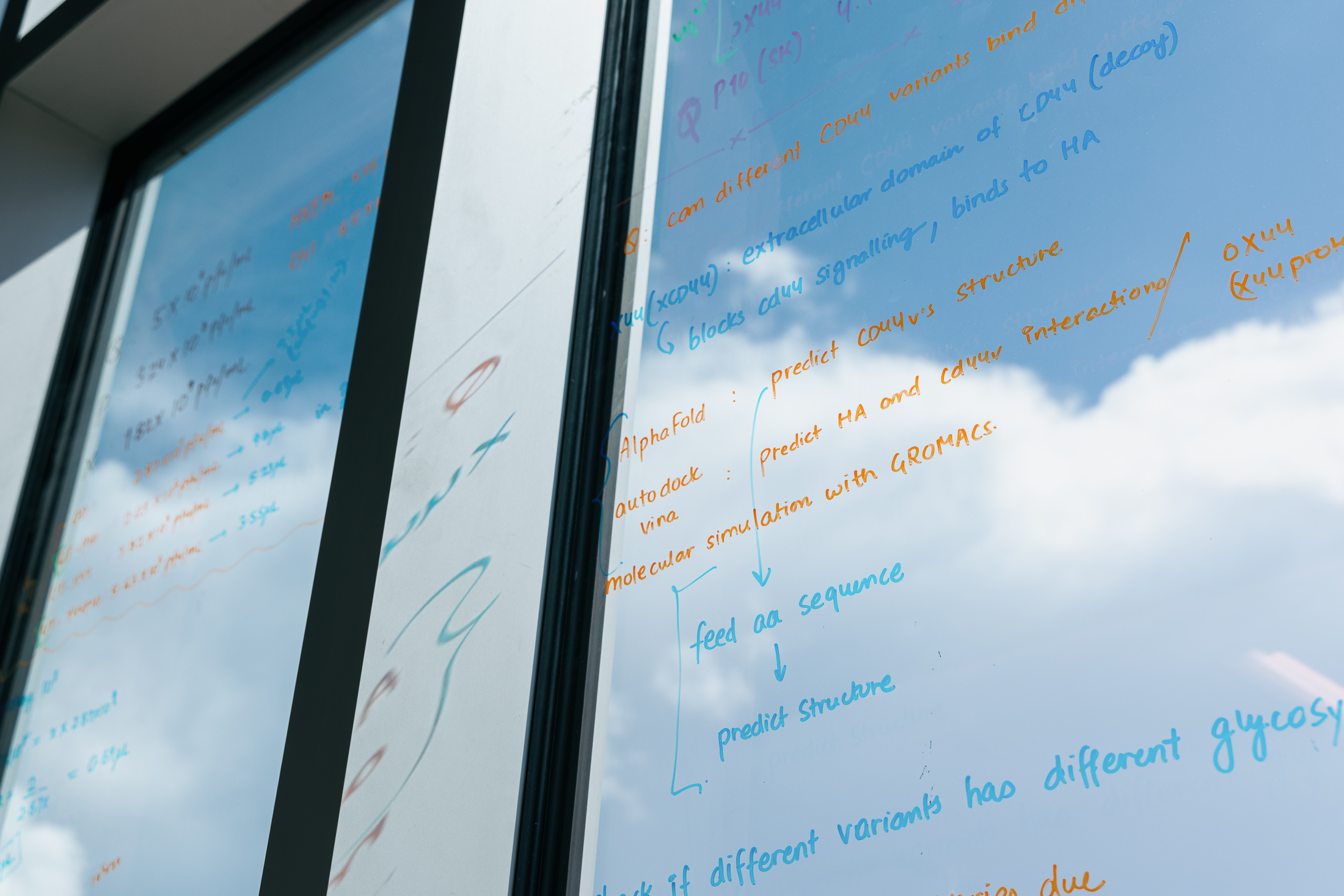Scientists write on the windows inside the LSU Health Sciences Center.