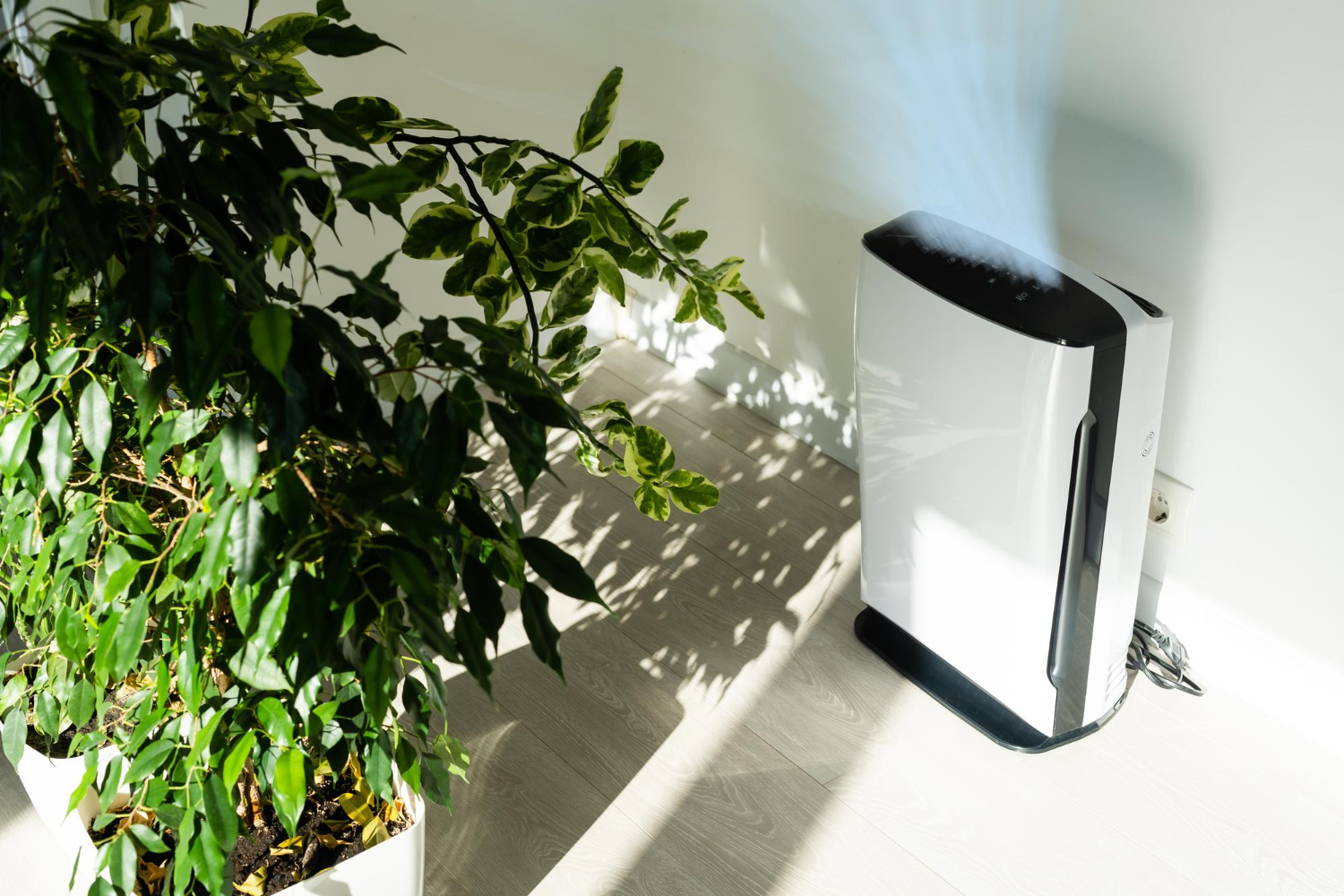 Professional Solutions for Eliminating Dust and Allergens in Your Marshall Home
