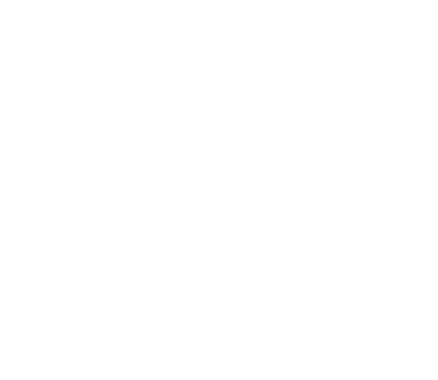 Buy NZ Made Logotype