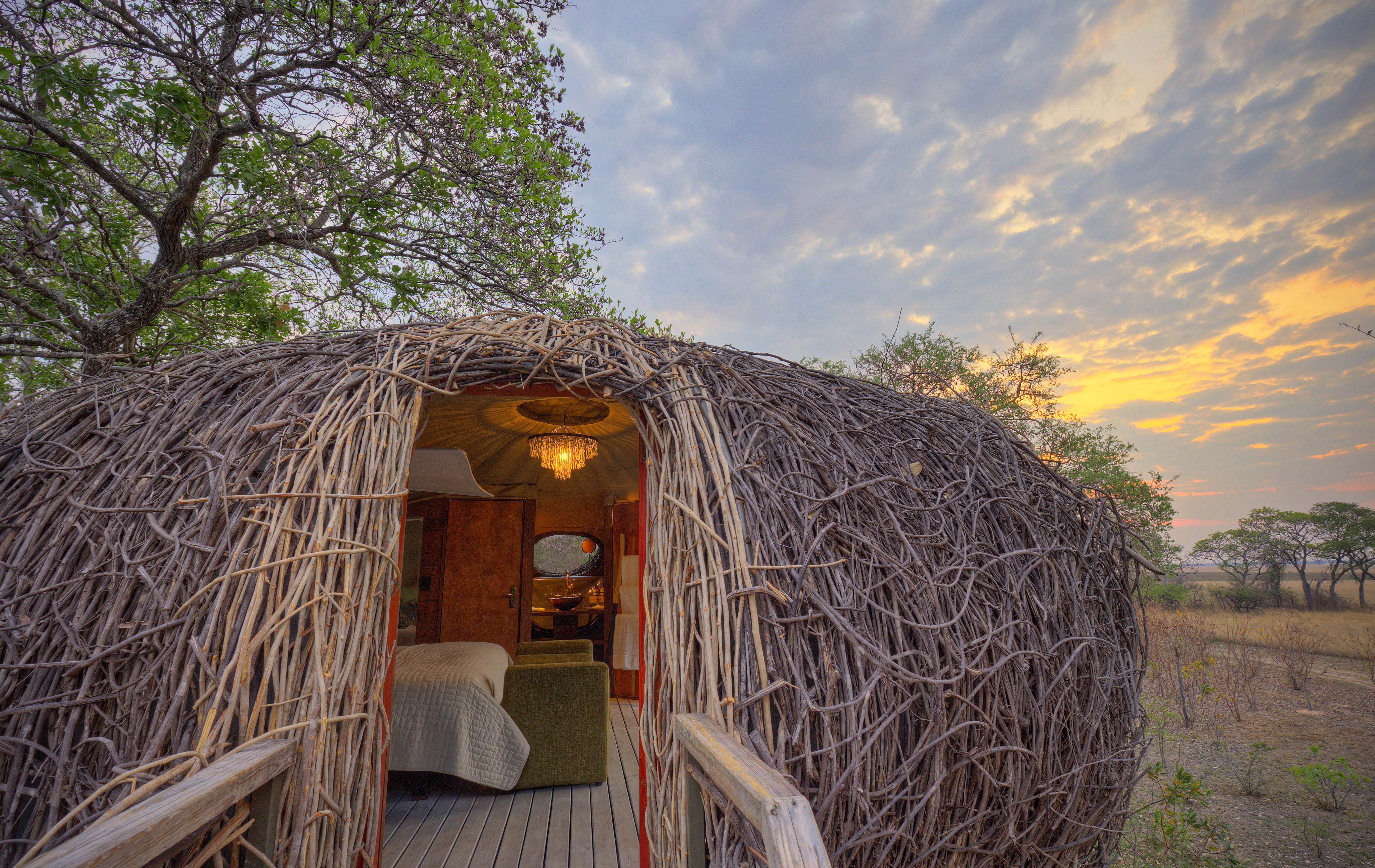 A unique nest shaped safari room