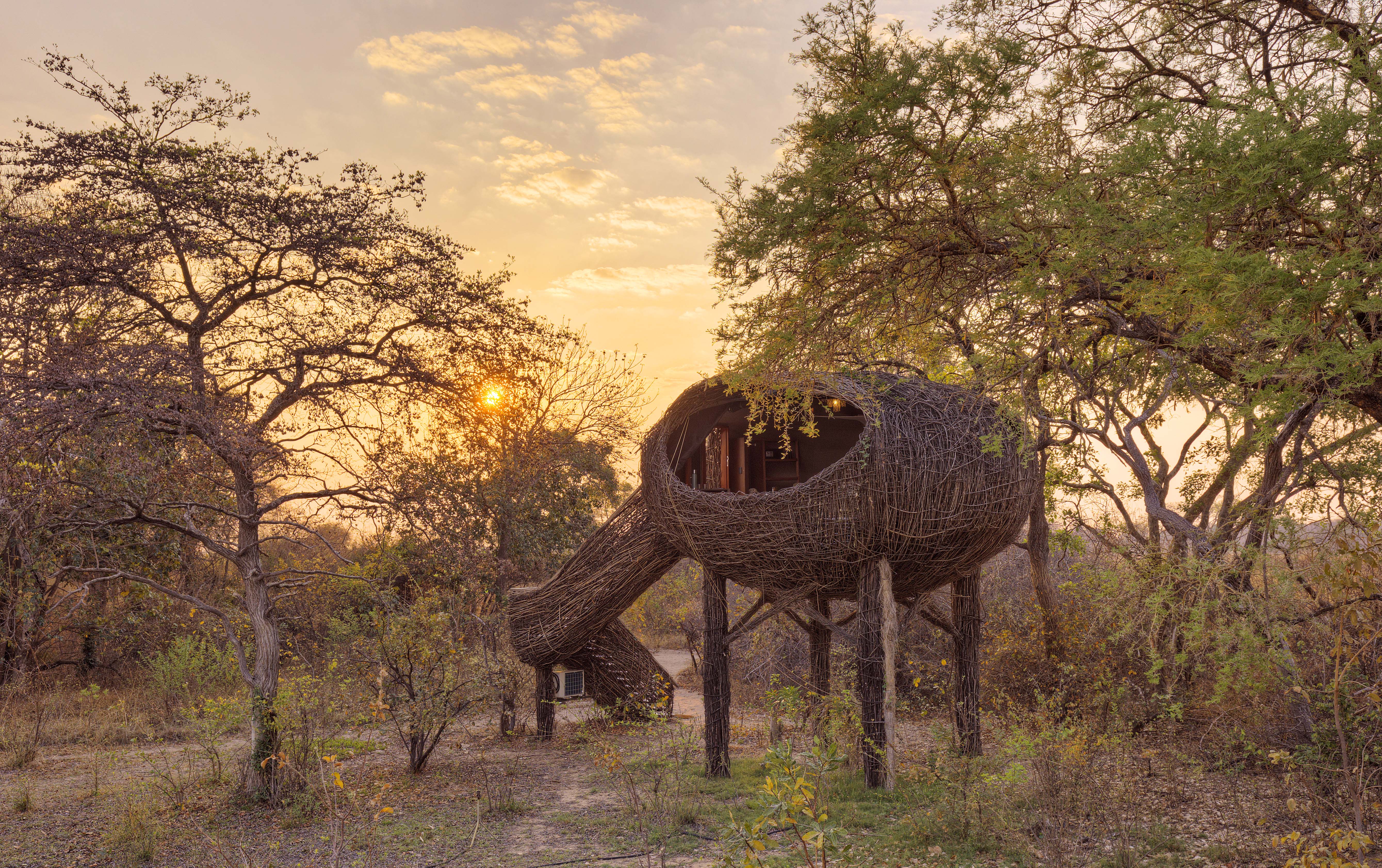 An image of a unique nest room in Zambia