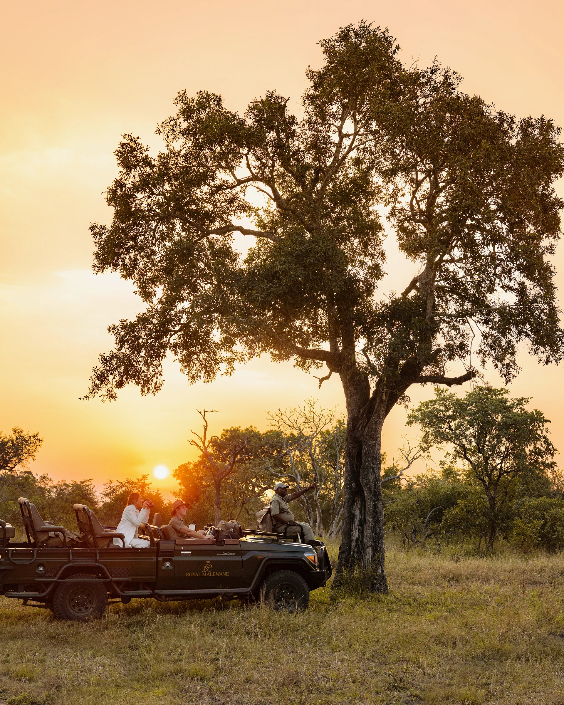 A guide sitting at the end of a safari vehicle tracking wildlife