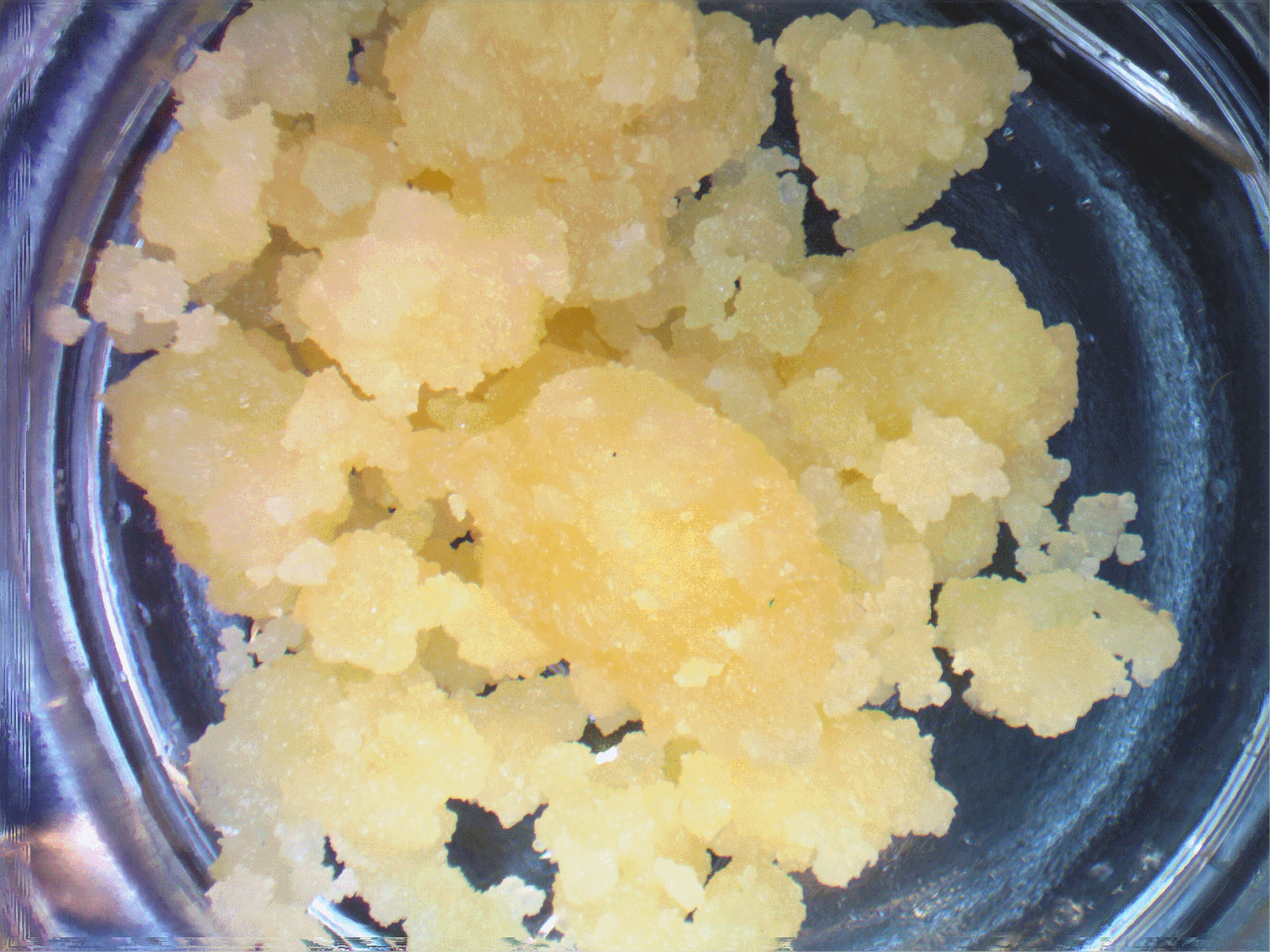 cannabis crumble
