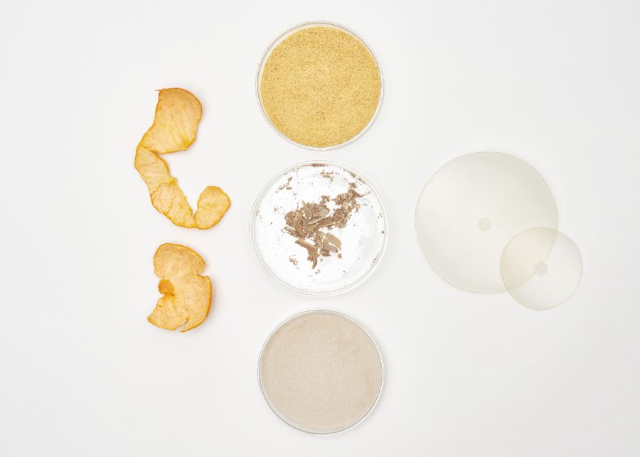Gelatin-Methylcellulose Bioplastic