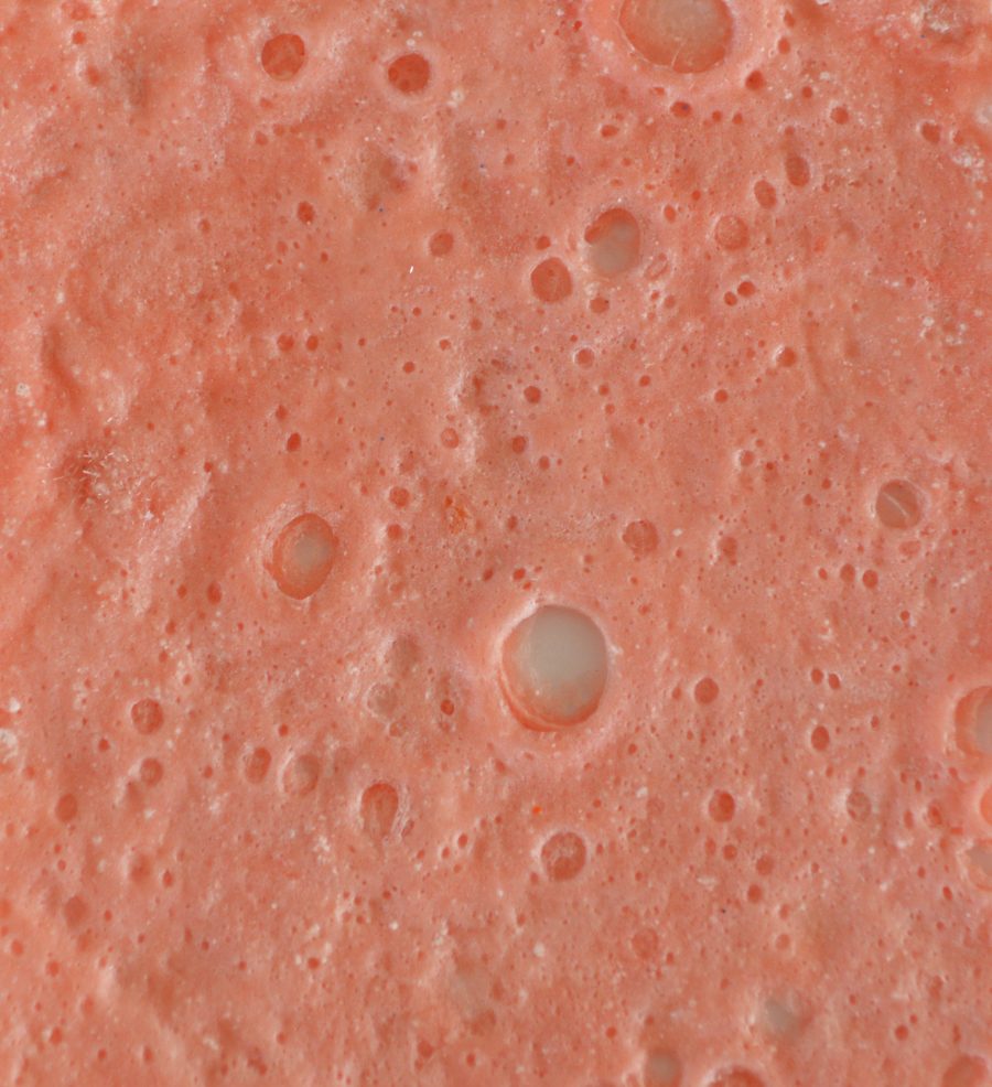 Foamy Bioplastic