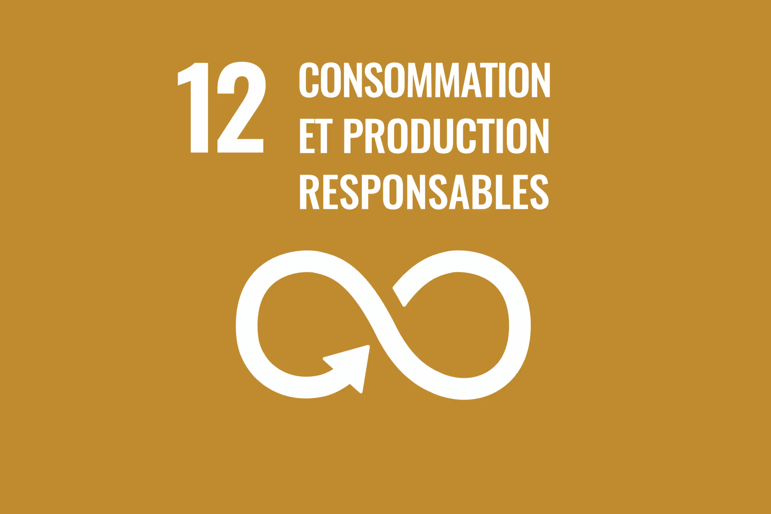 Teacher in front of the classroom taking questions with kids raising their hands