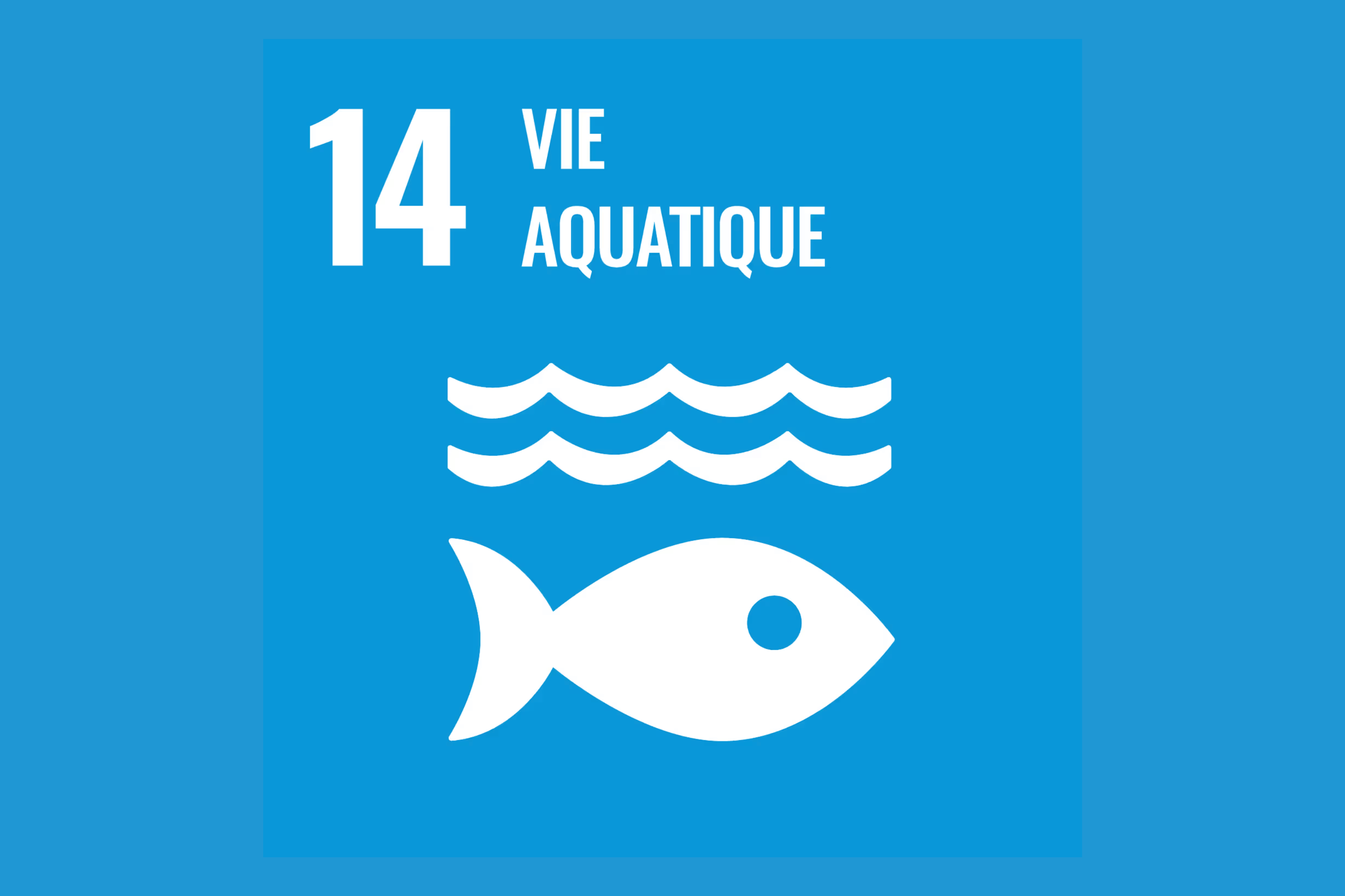 Young man giving a presentation with microphone