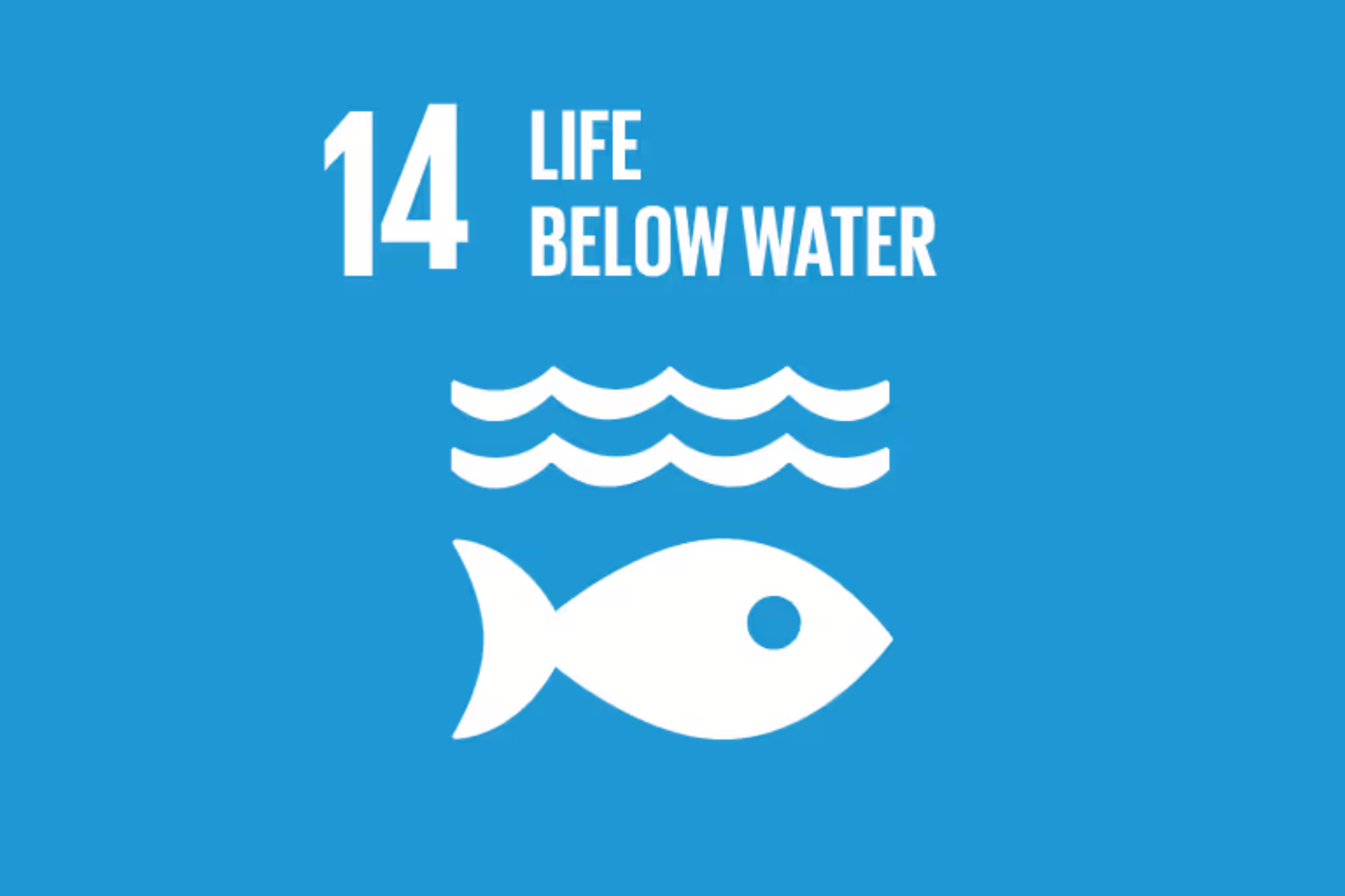 Young man giving a presentation with microphone