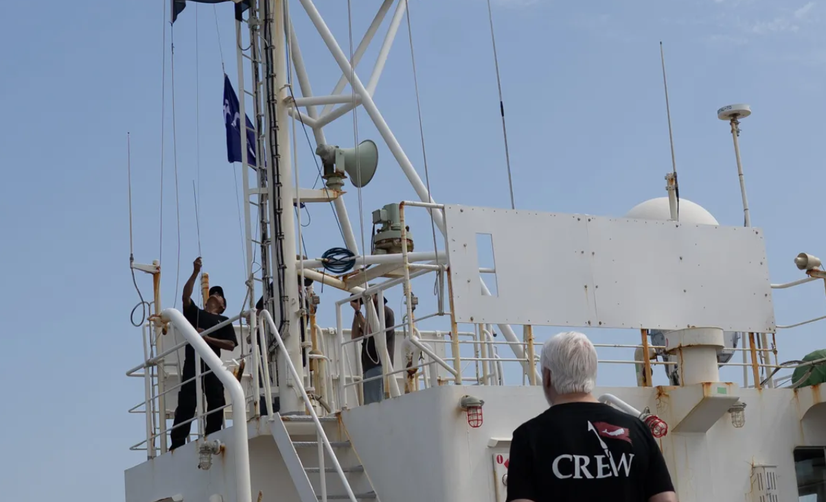 As Iceland’s EU Vote Looms, Could This Be the Beginning of the End for Icelandic Whaling?