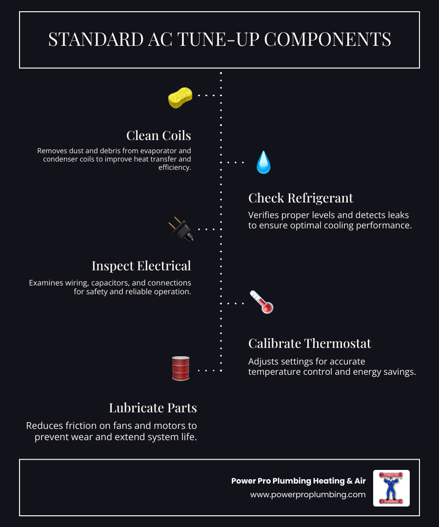 Infographic showing components of a standard AC tune-up including coil cleaning, refrigerant check, electrical inspection