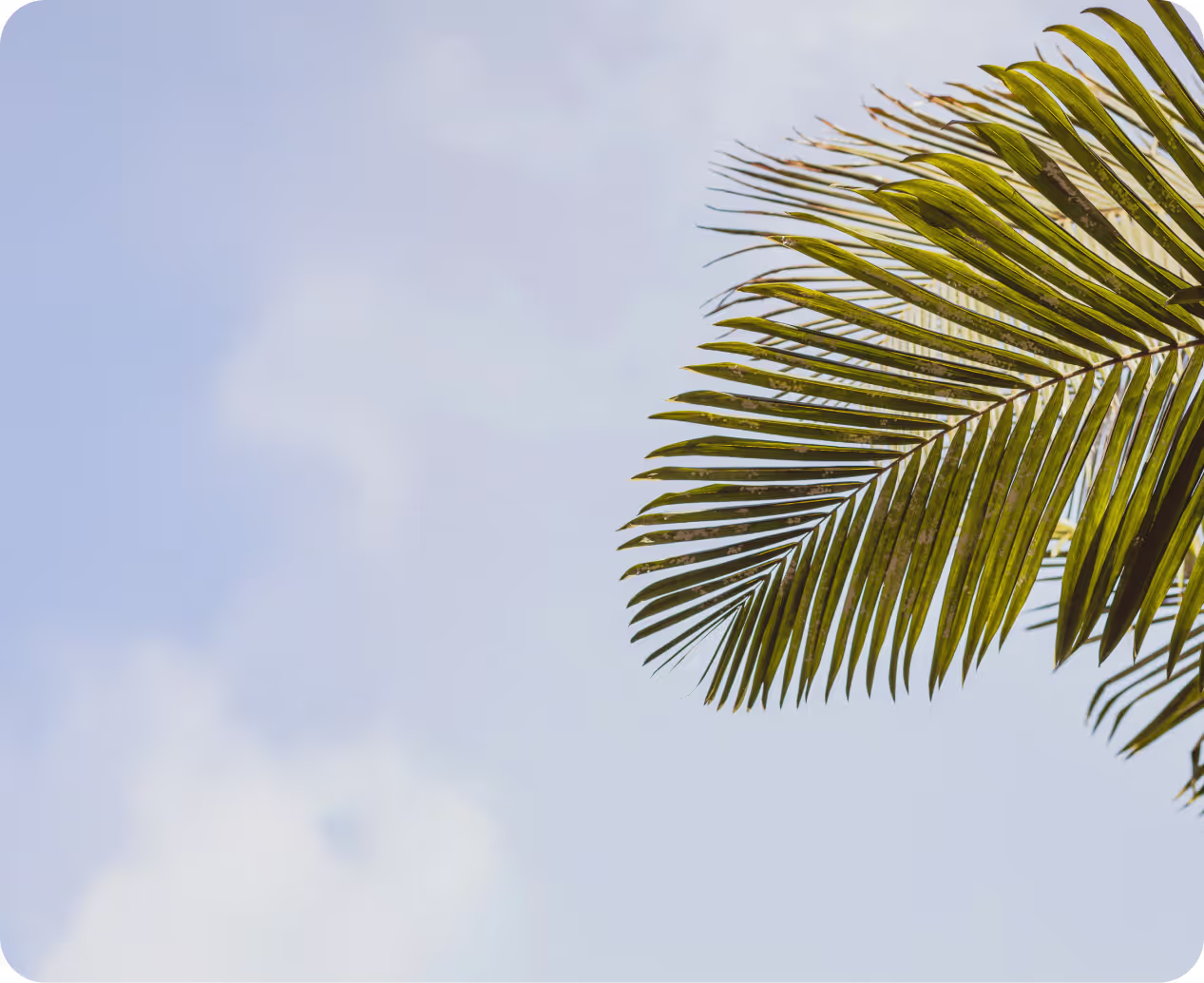 Background image Card