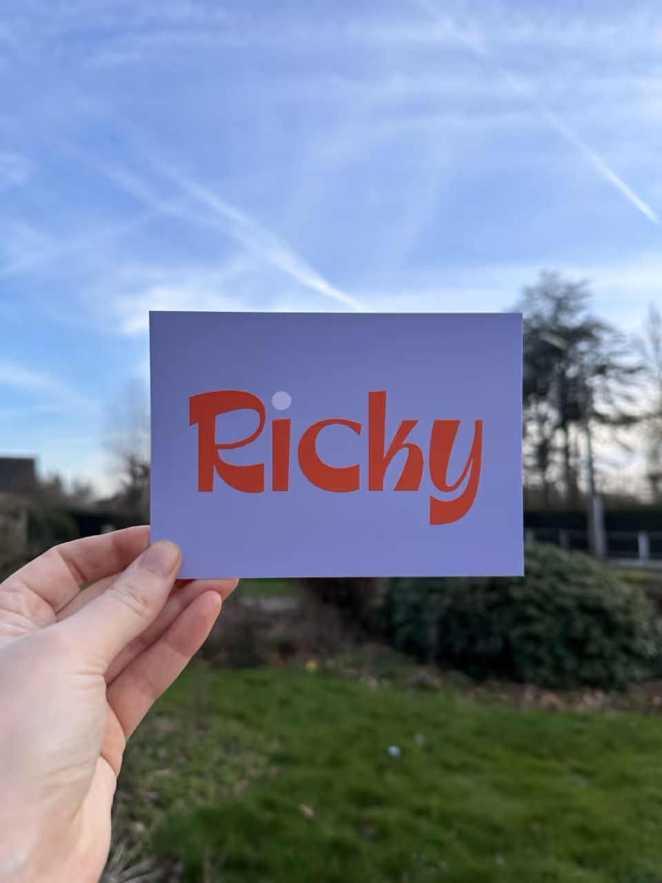 Geboortekaart 'Ricky', bold Colors