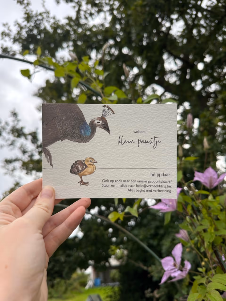 Tekening en grafisch ontwerp met reclame voor in de opvang van onze dochter: Groepsopvang 'De Pauwtjes'