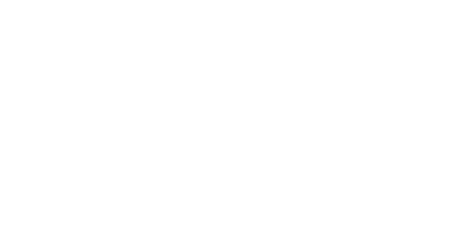 Google Partner