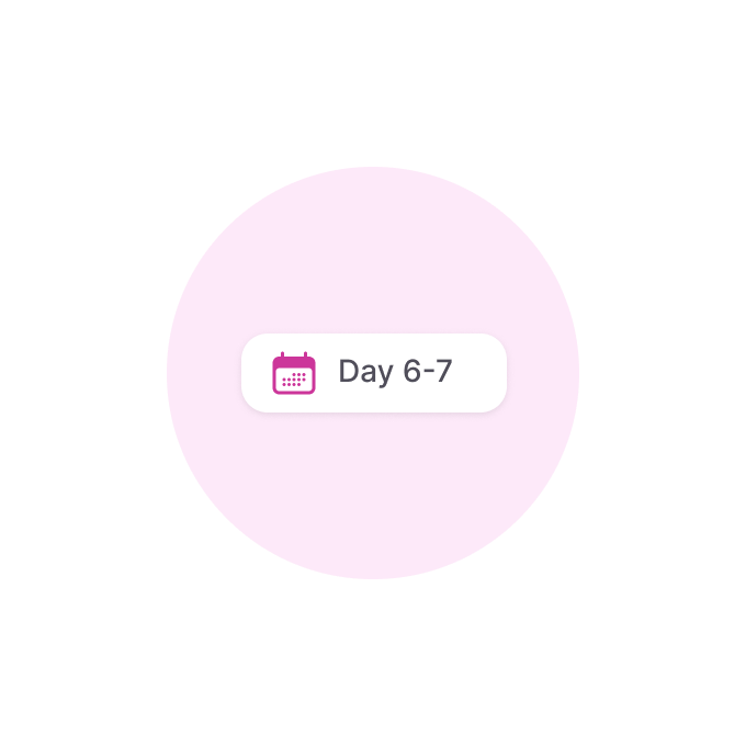 Team Training in days 6-7