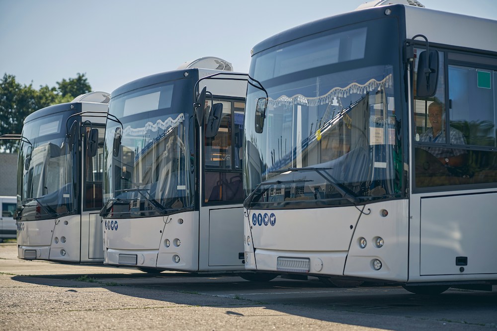 transportation buses in a parking lot