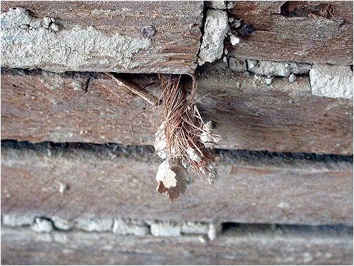 Frayed wires poking out of a weathered, cracked brick wall.