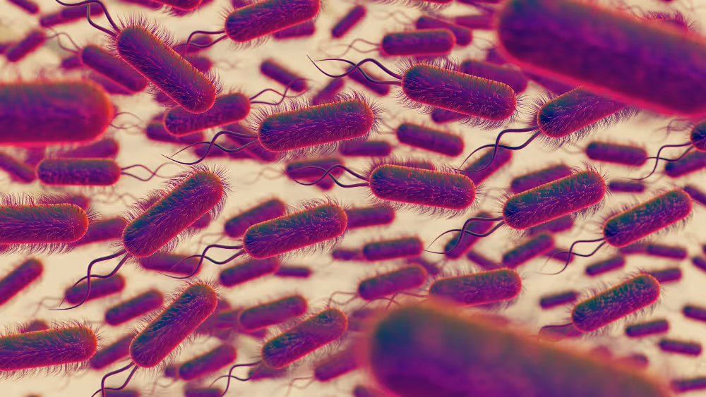Legionella in the UK: What You Need to Know