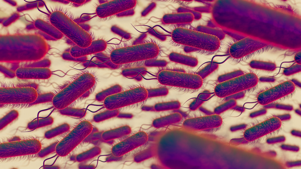 Legionella in the UK: What You Need to Know