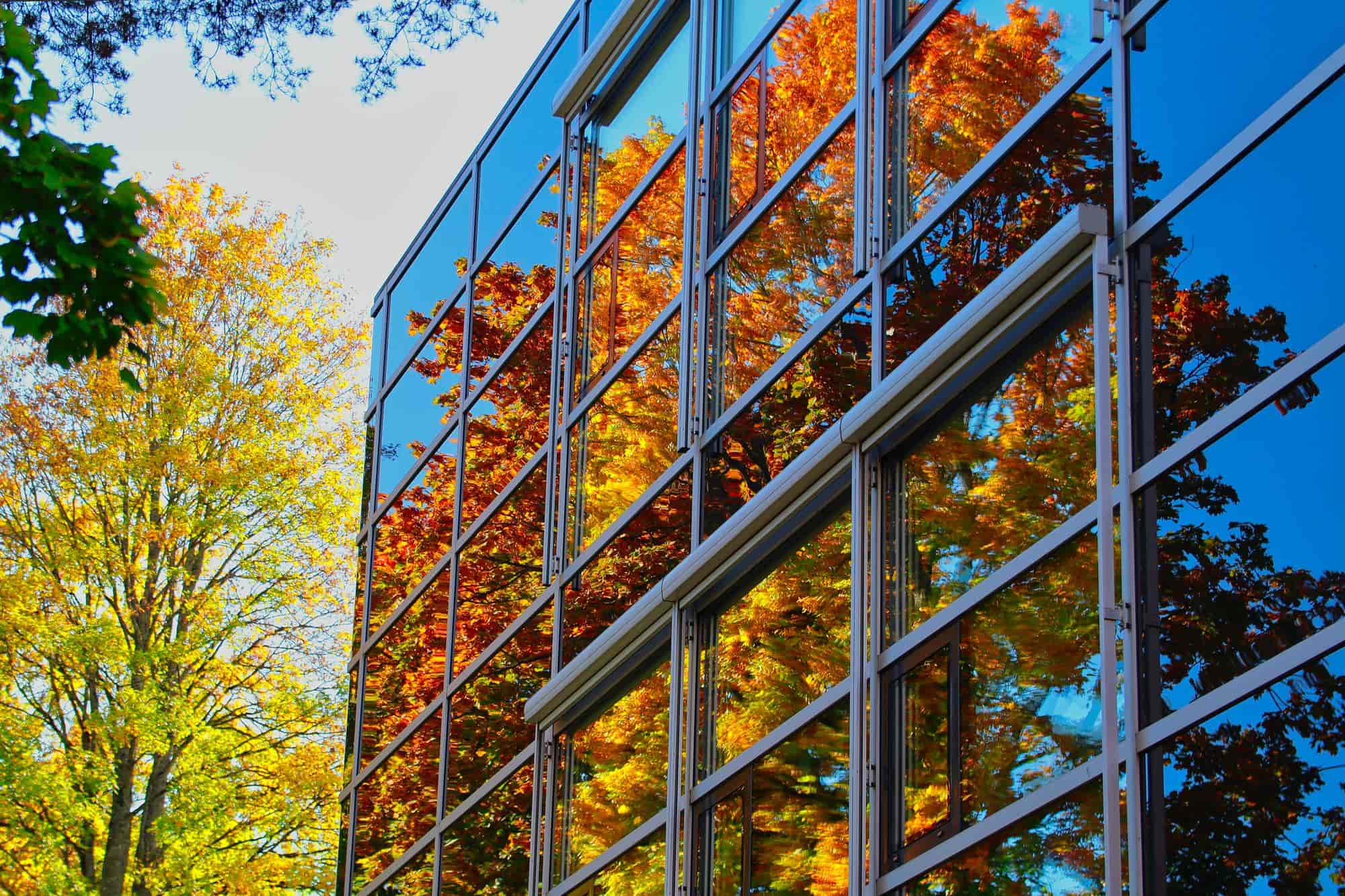 Commercial building surrounded by autumnal trees